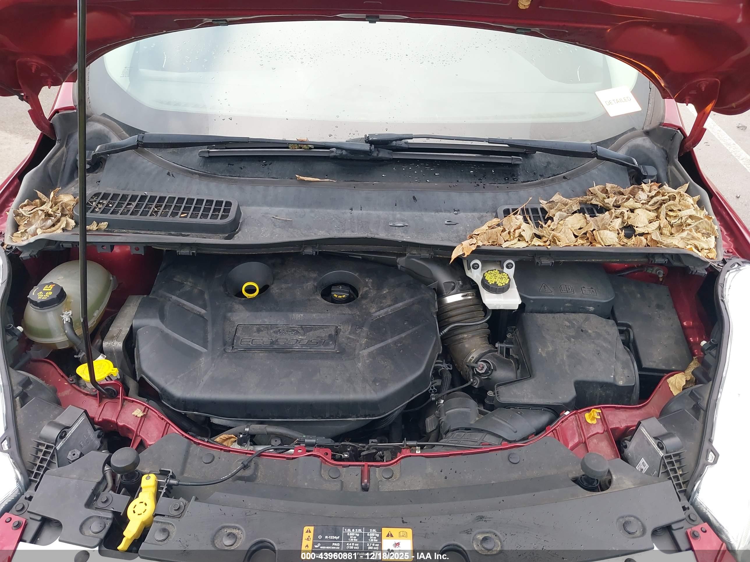 FORD ESCAPE image 10