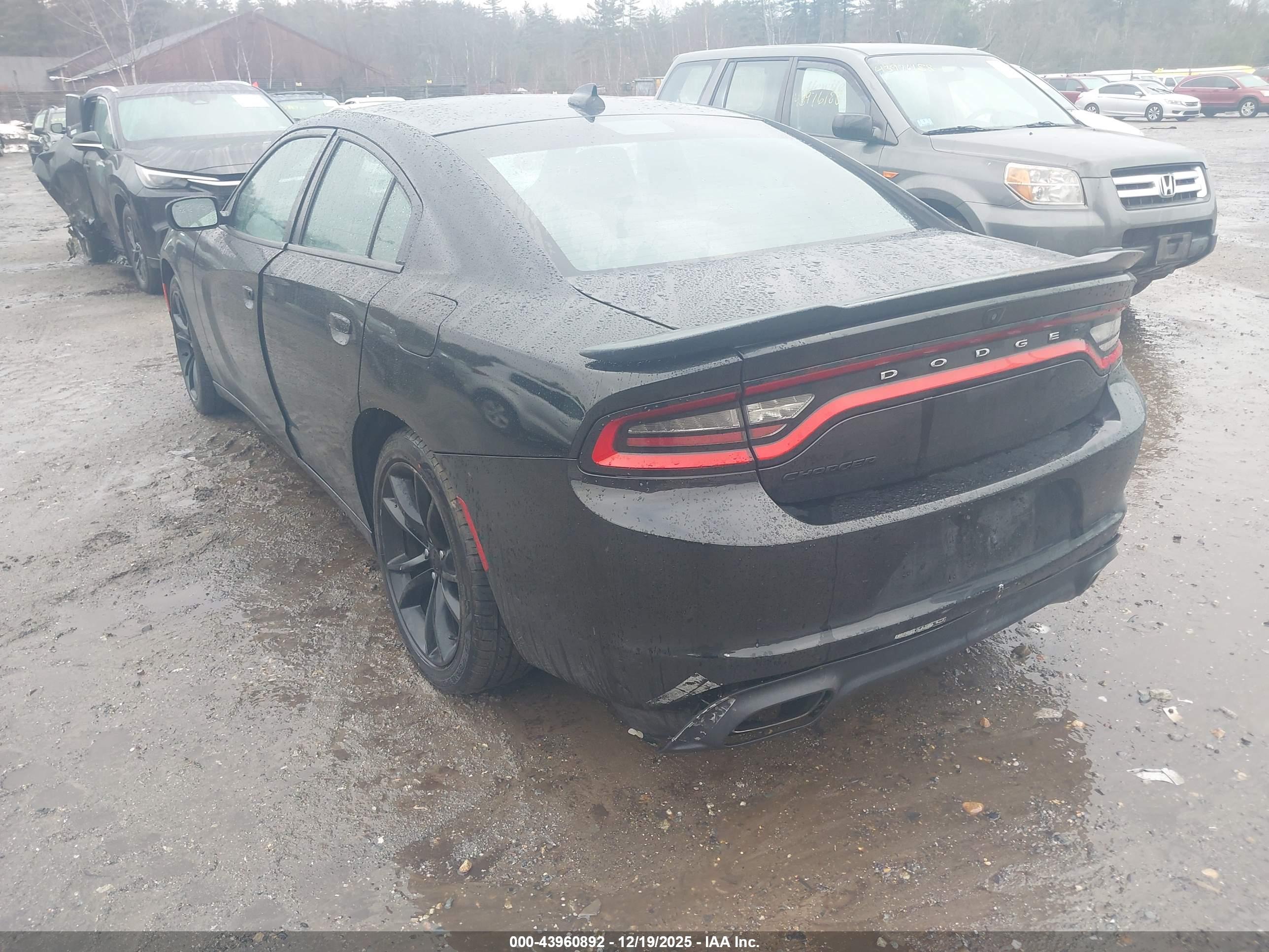 DODGE CHARGER image 3