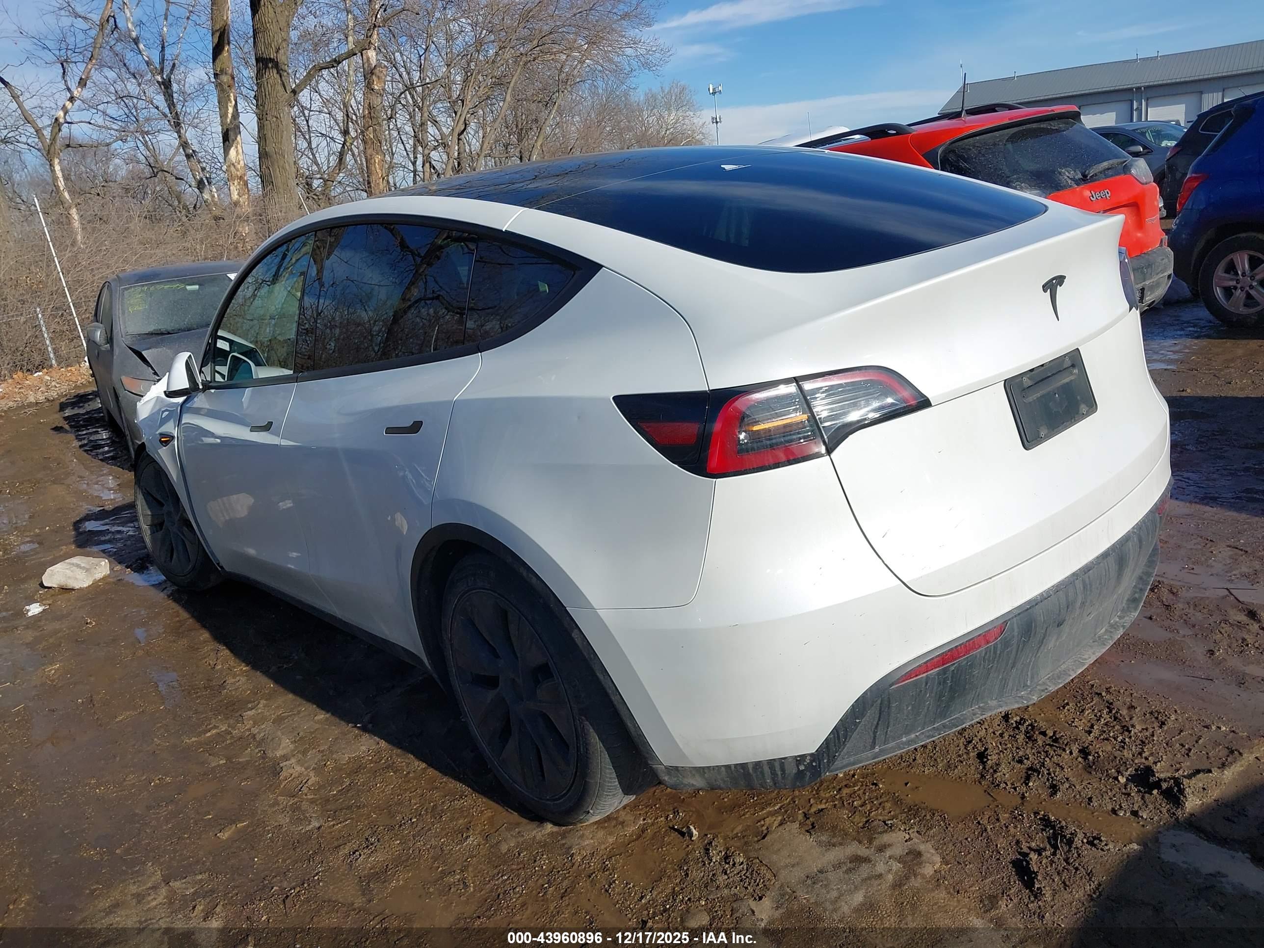 TESLA MODEL image 3