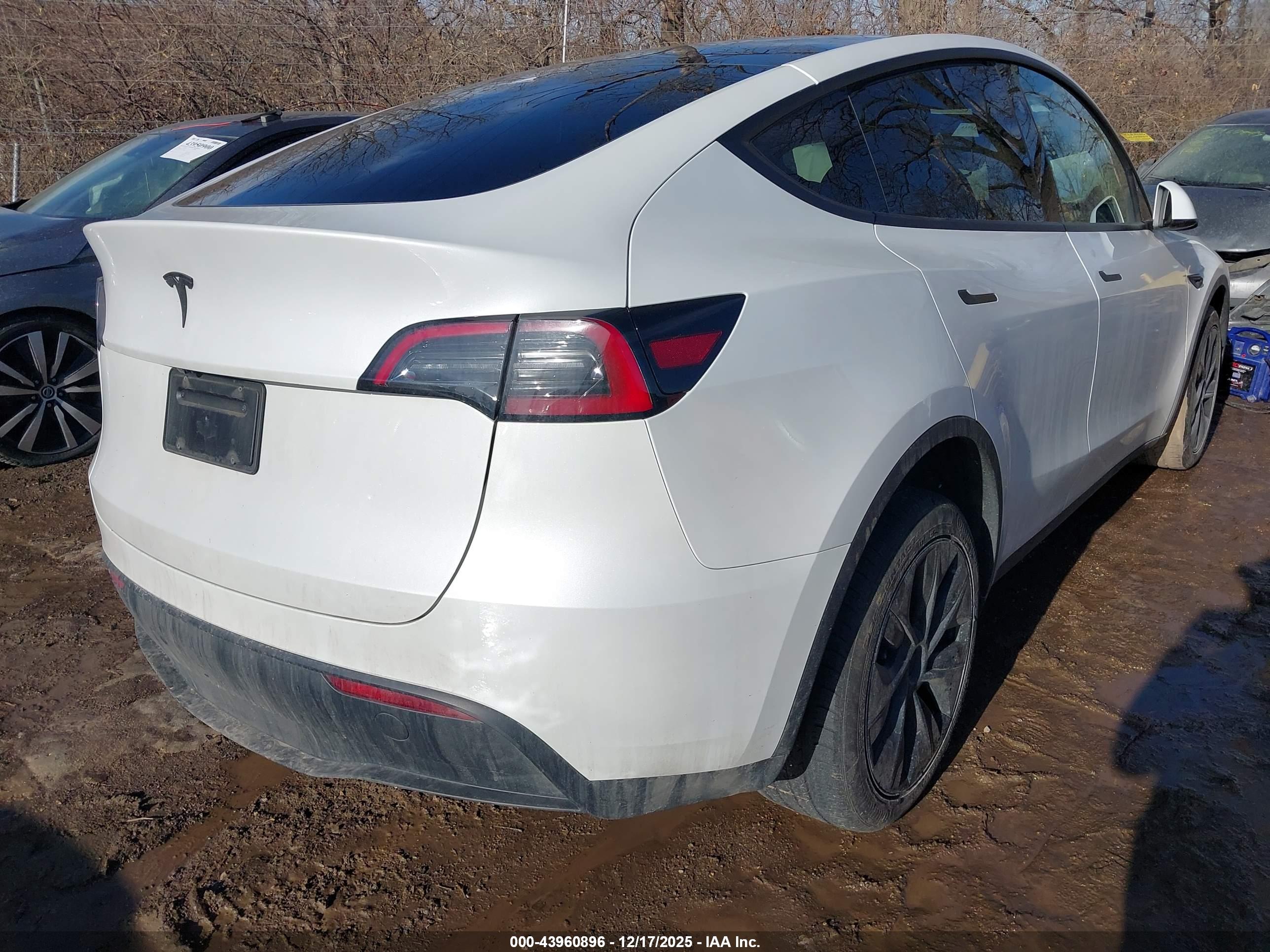 TESLA MODEL image 4