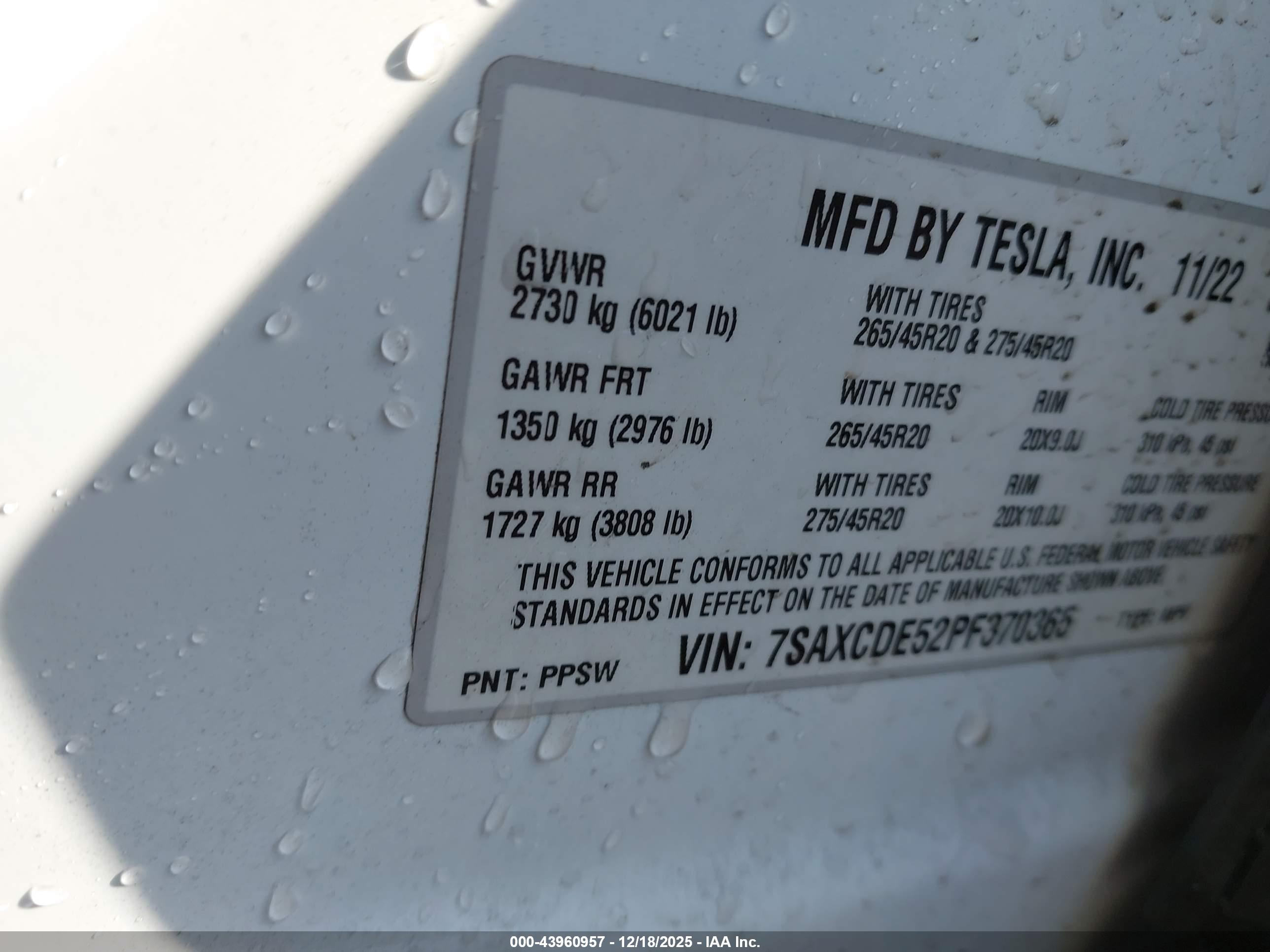 TESLA MODEL image 9