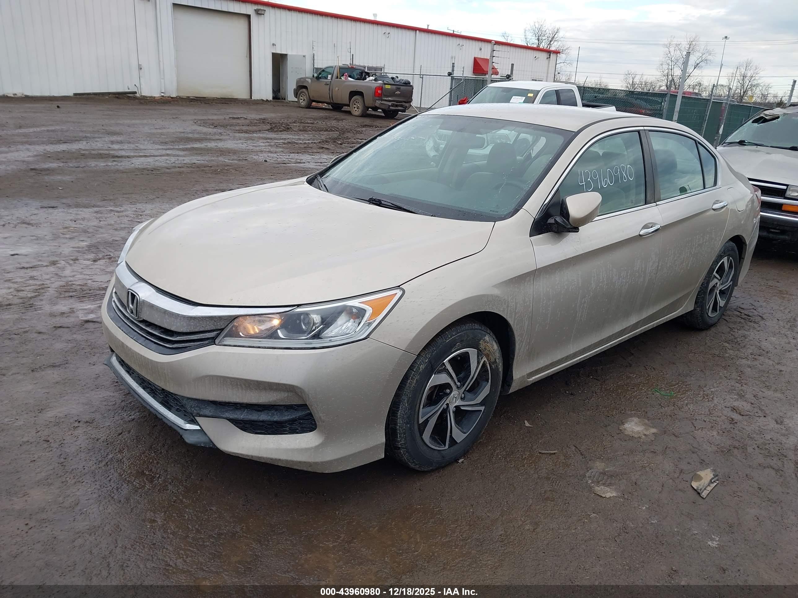 HONDA ACCORD image 2