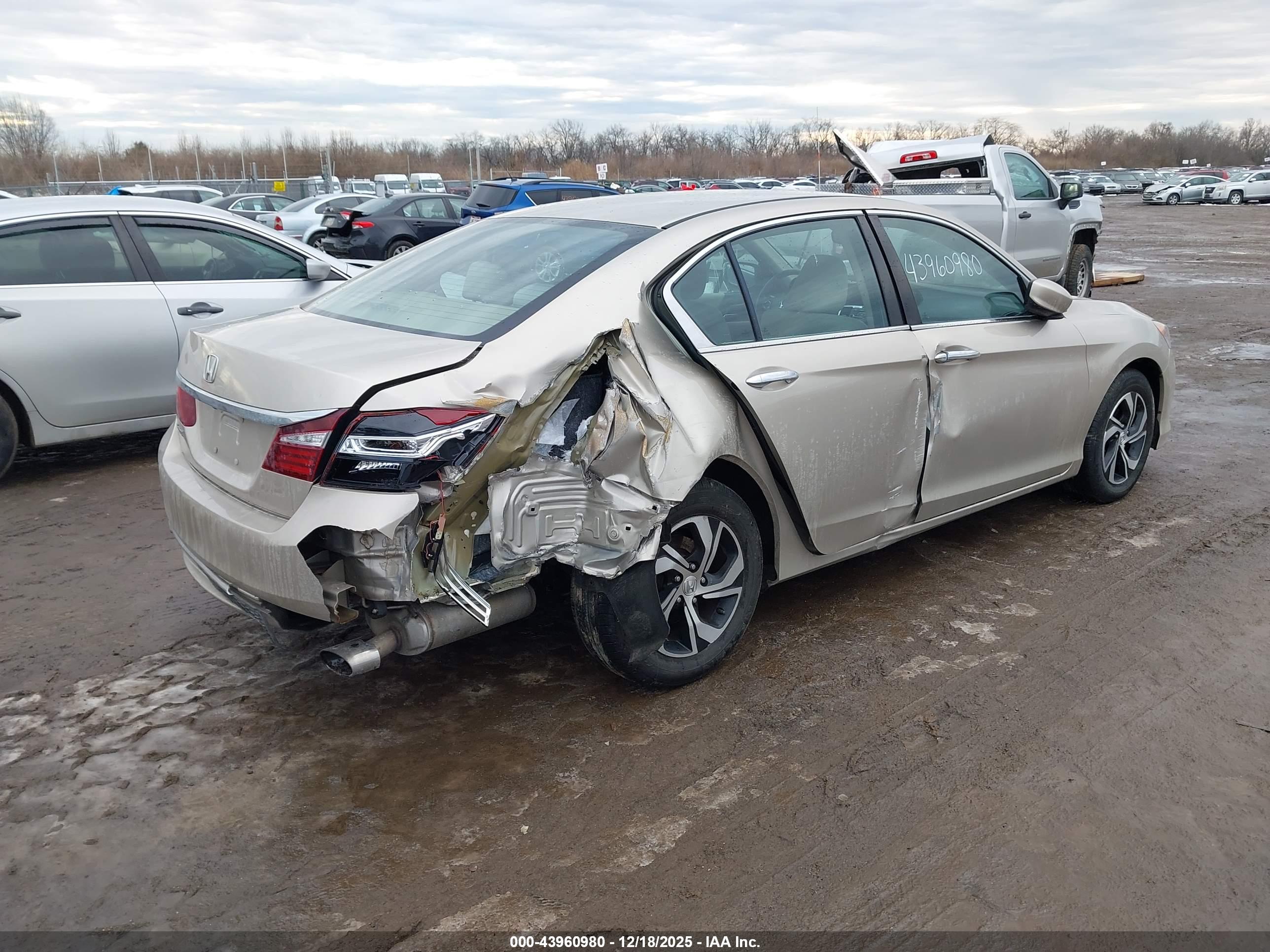 HONDA ACCORD image 4