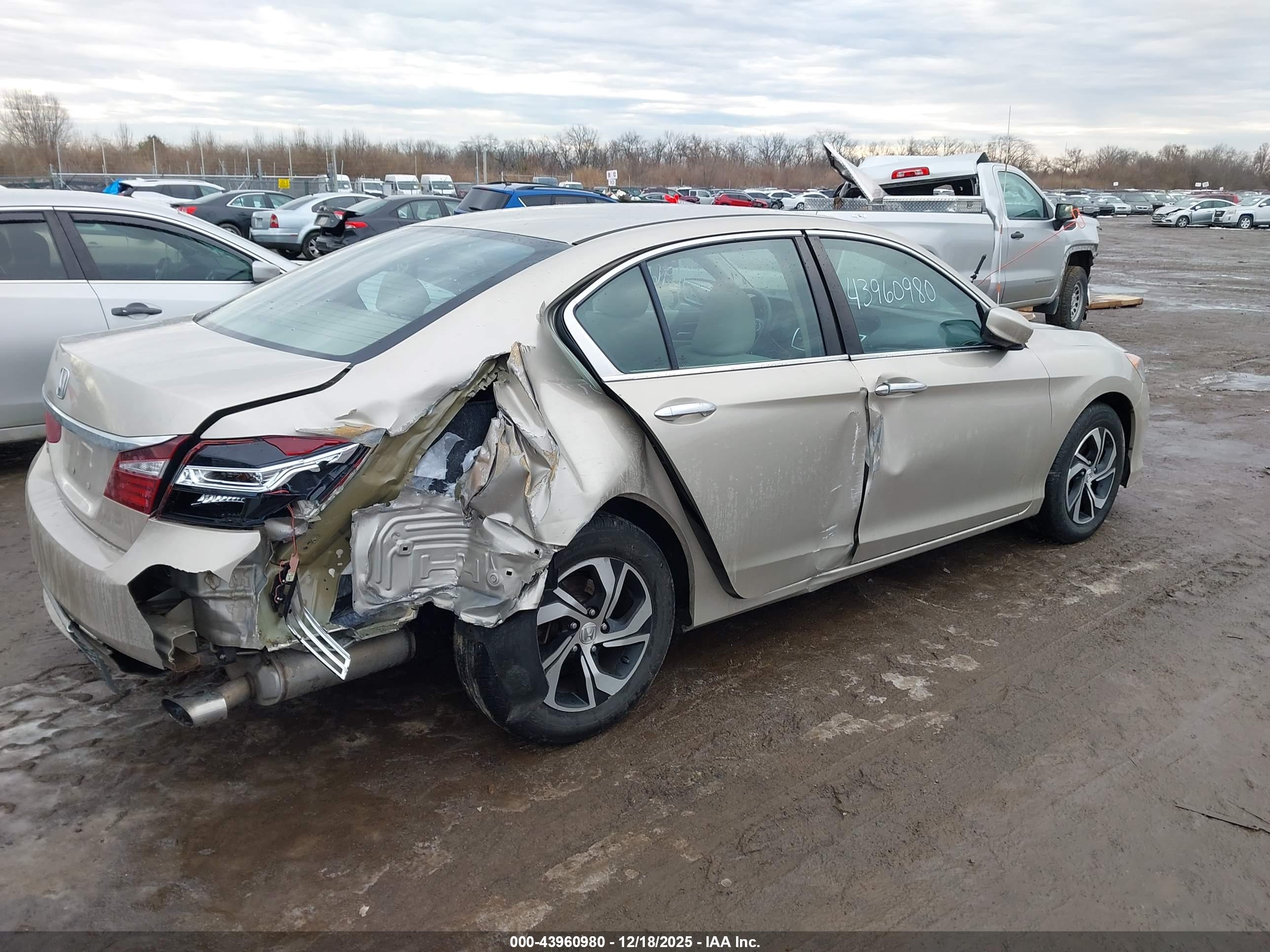 HONDA ACCORD image 6