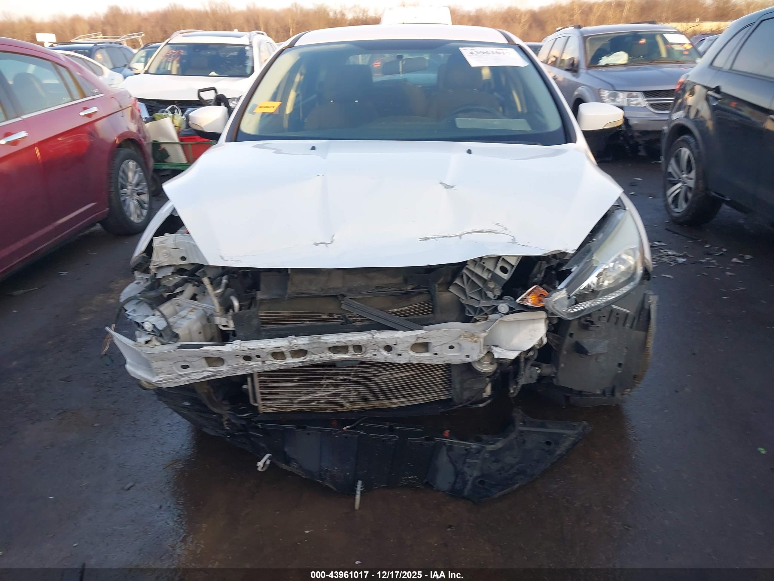 FORD FOCUS image 6