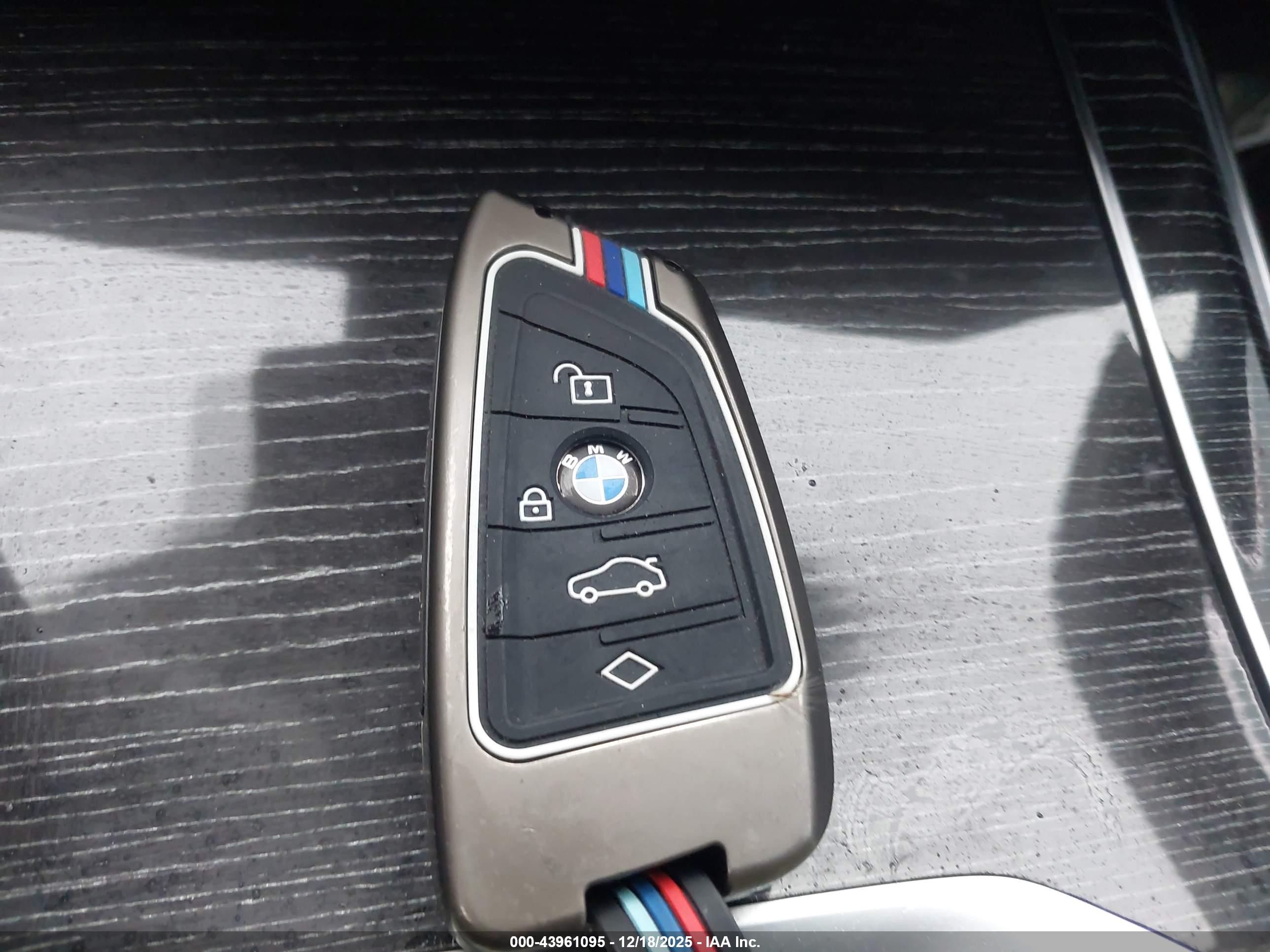 BMW X7 image 11