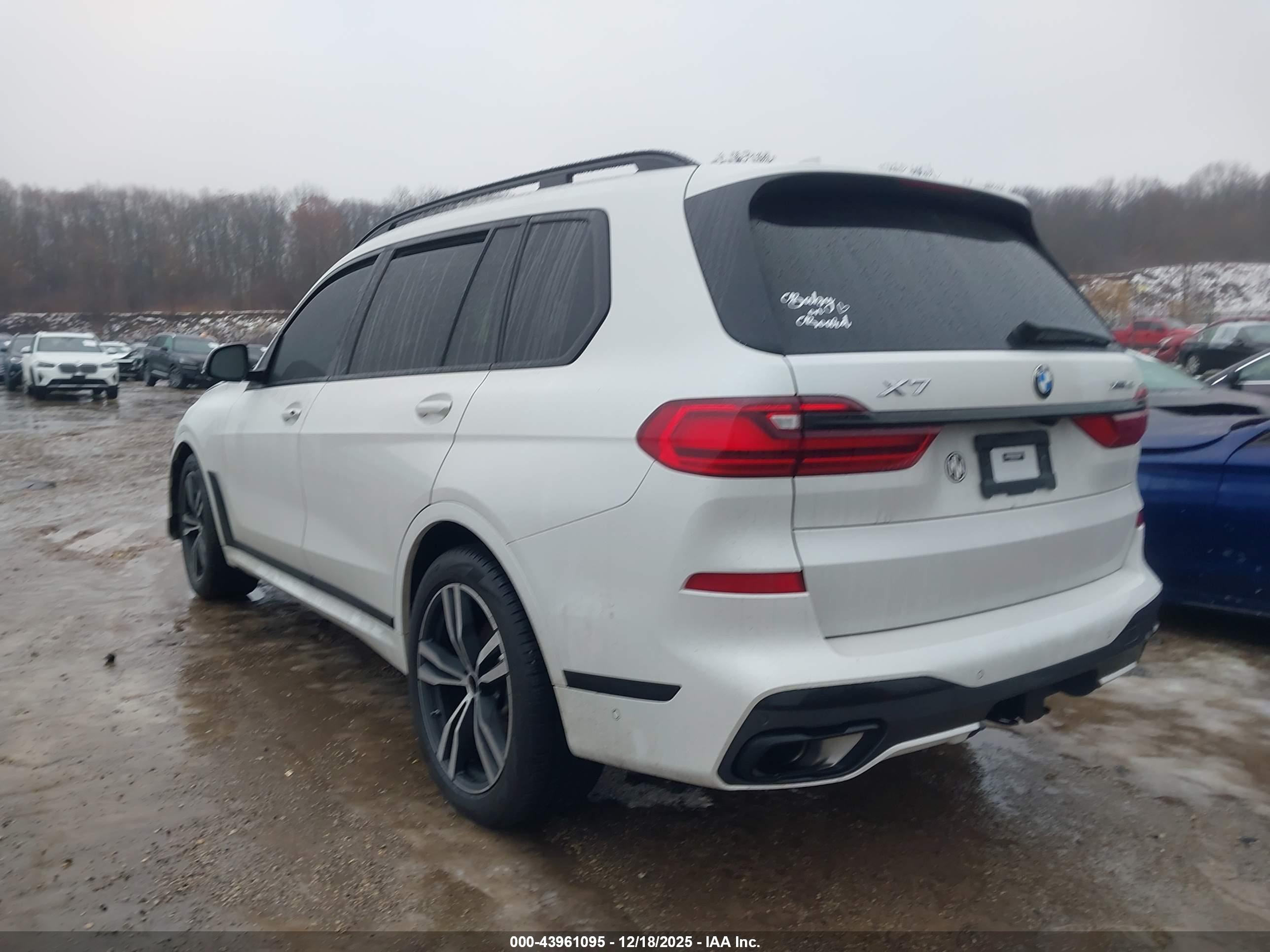 BMW X7 image 3