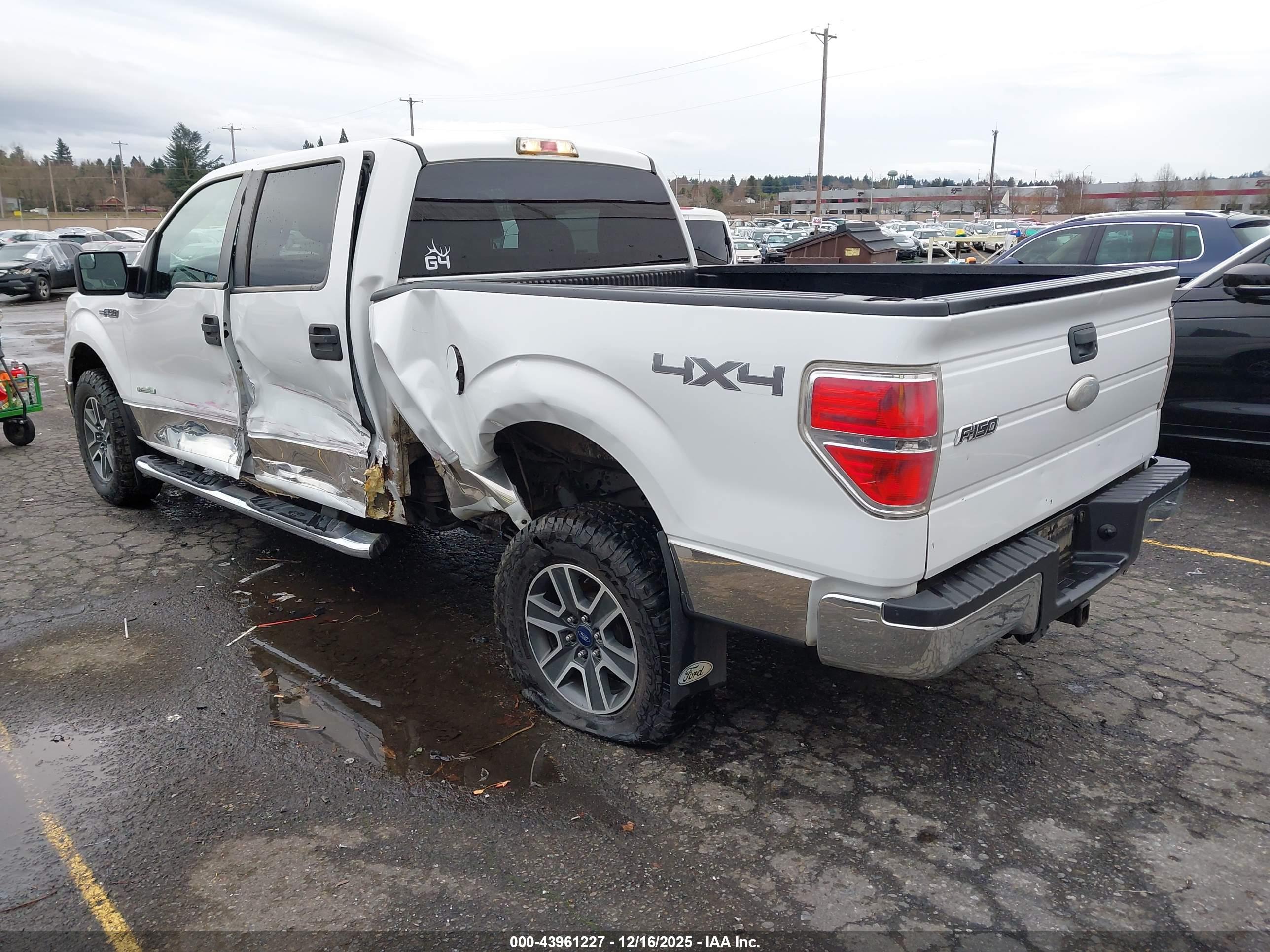 FORD F-150 image 3