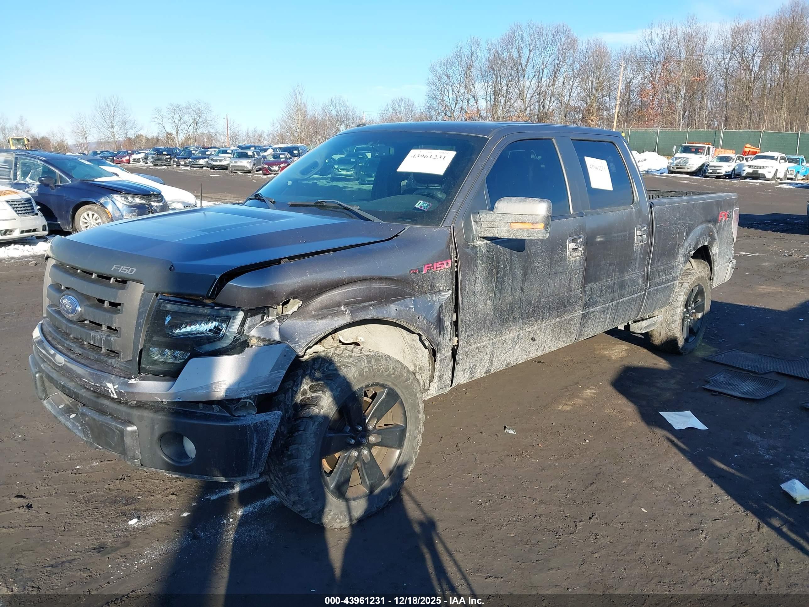 FORD F-150 image 2