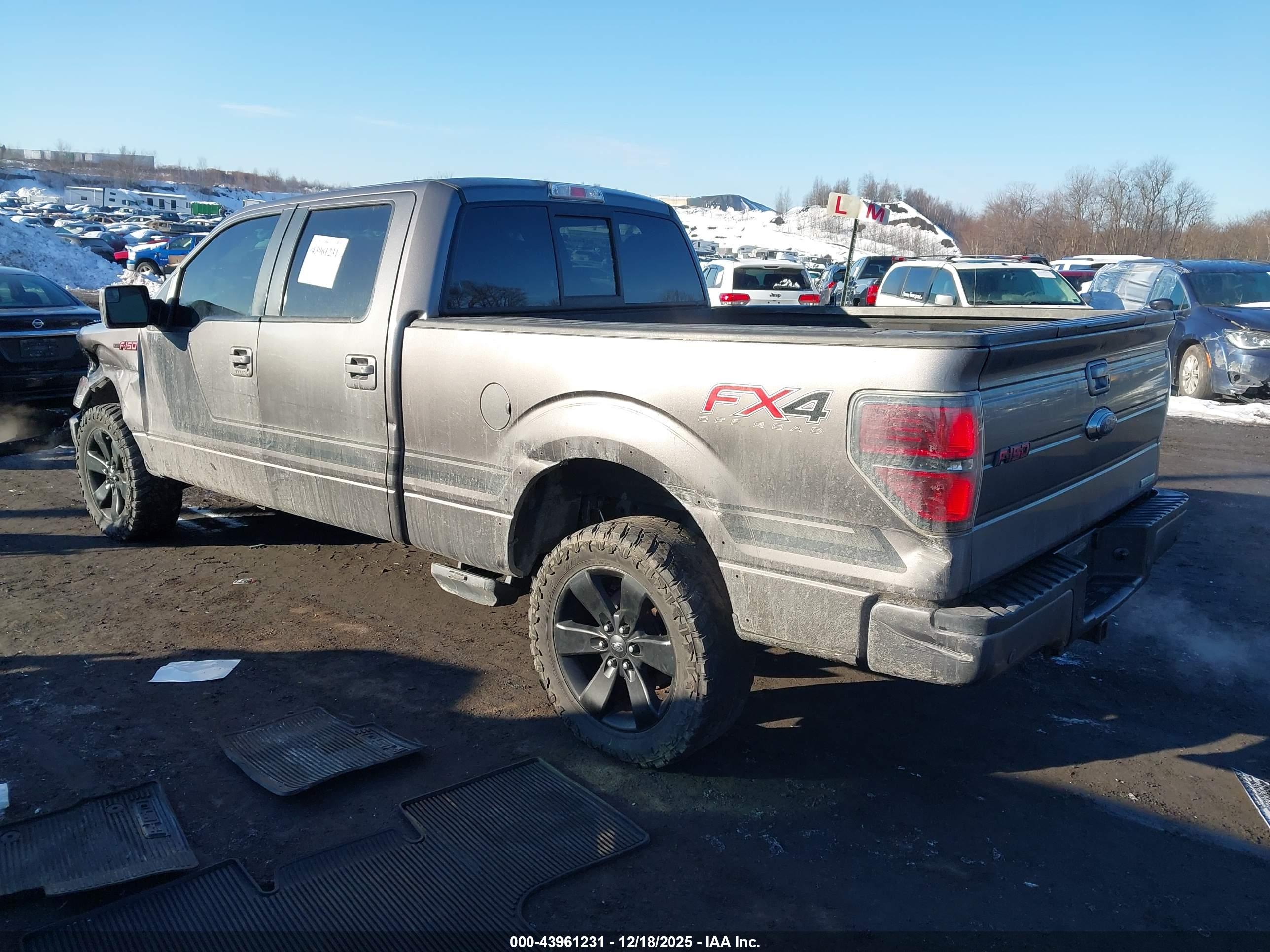 FORD F-150 image 3