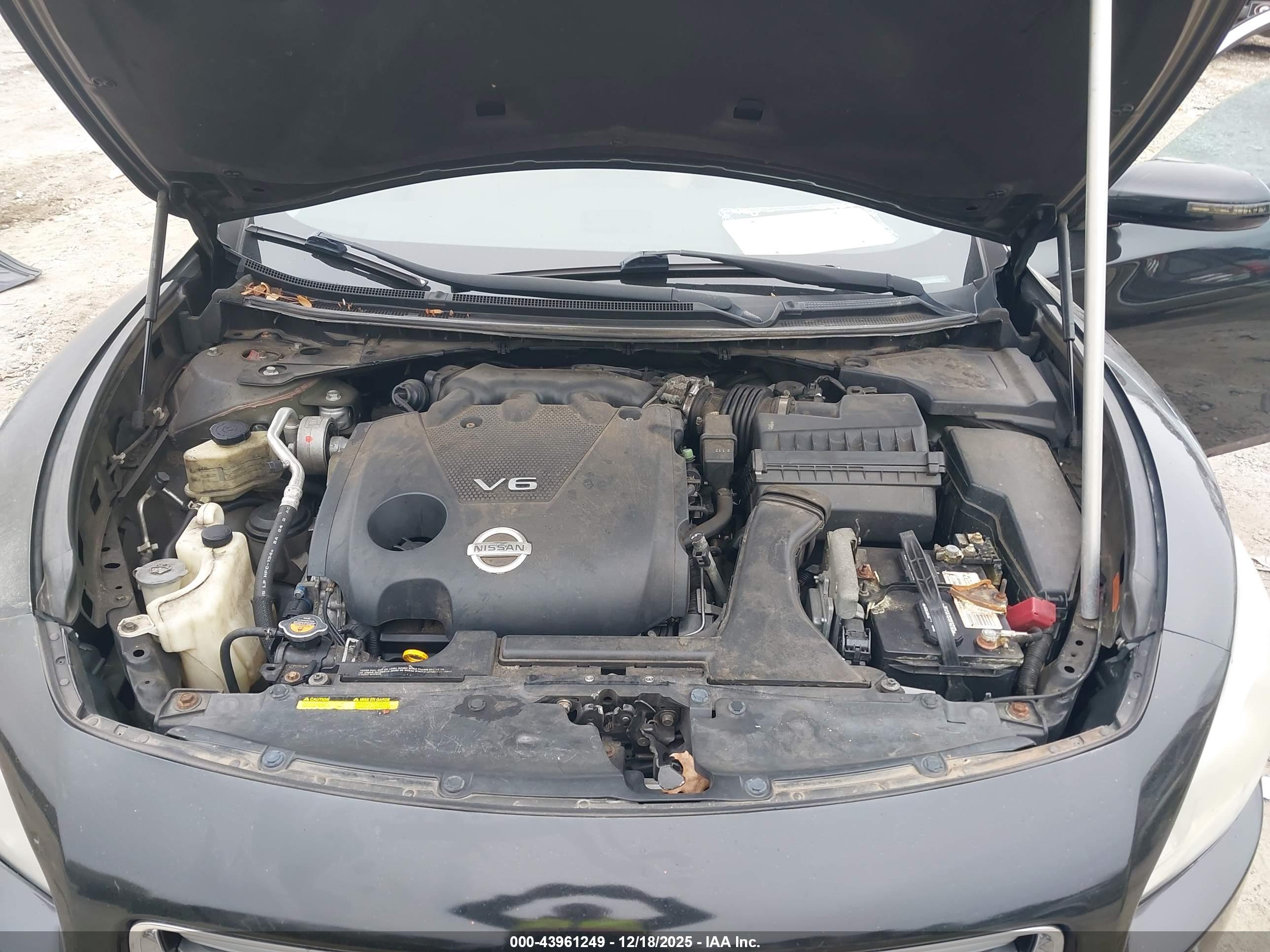 NISSAN MAXIMA image 10