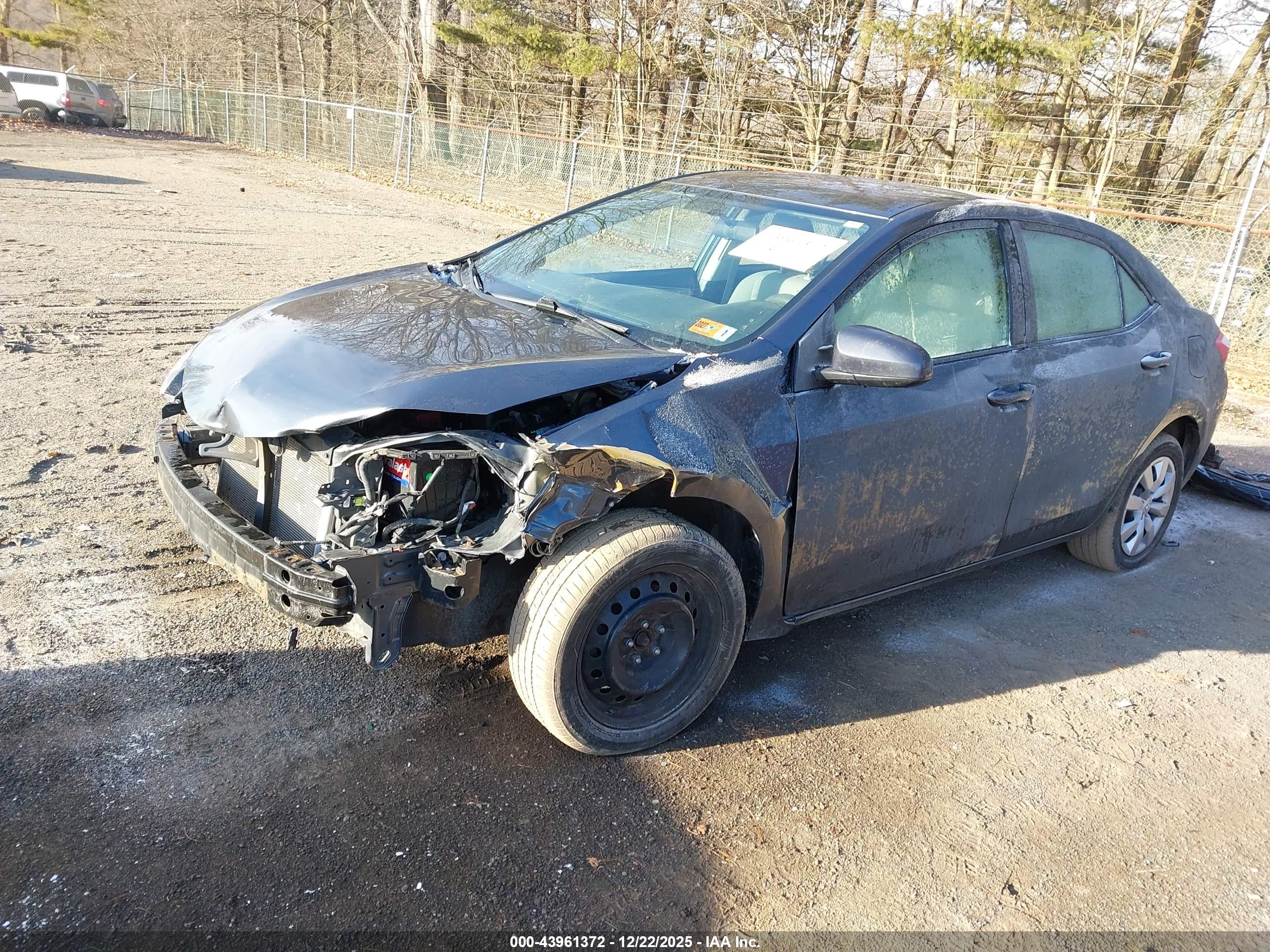 TOYOTA COROLLA image 2
