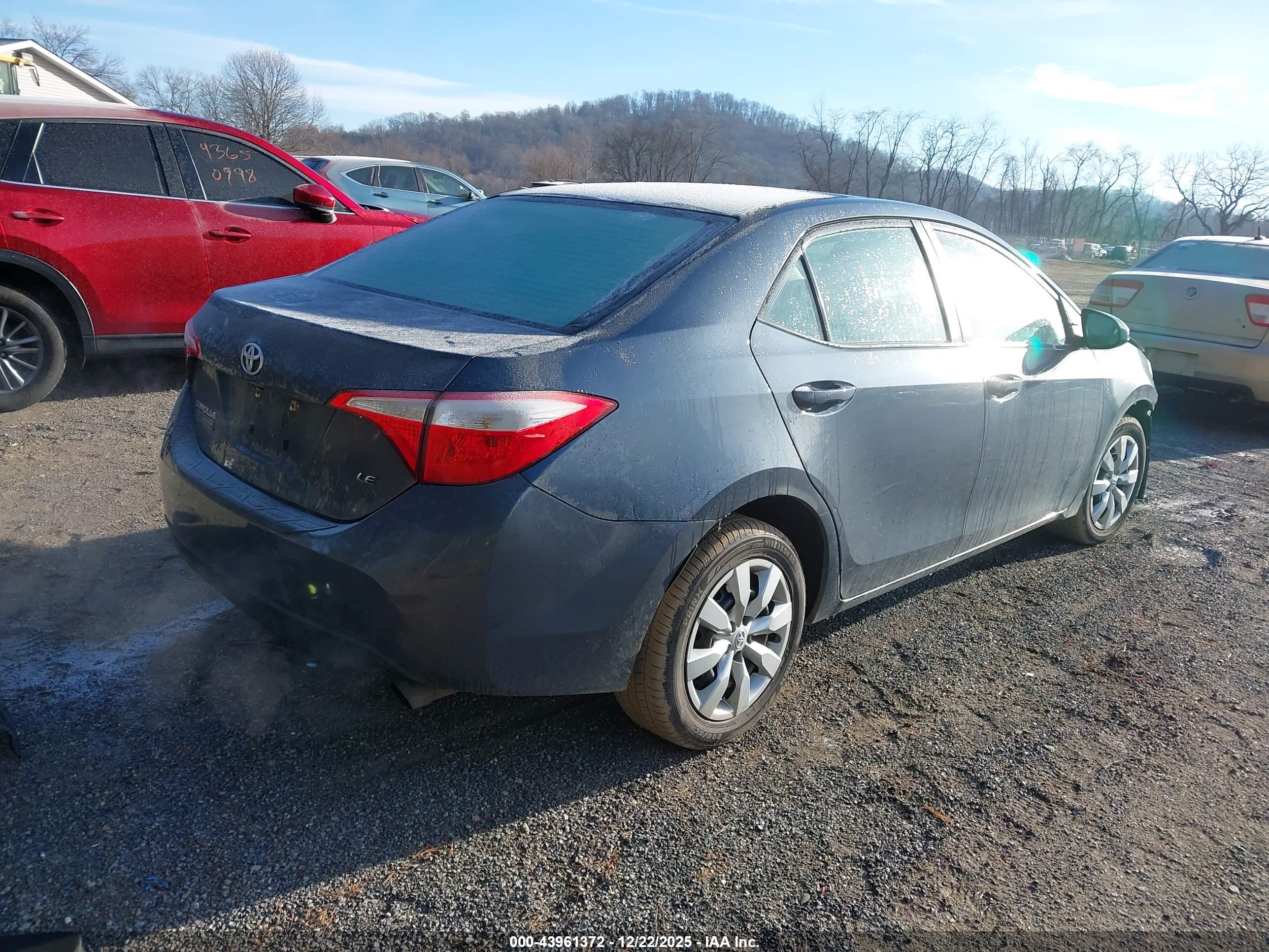 TOYOTA COROLLA image 4