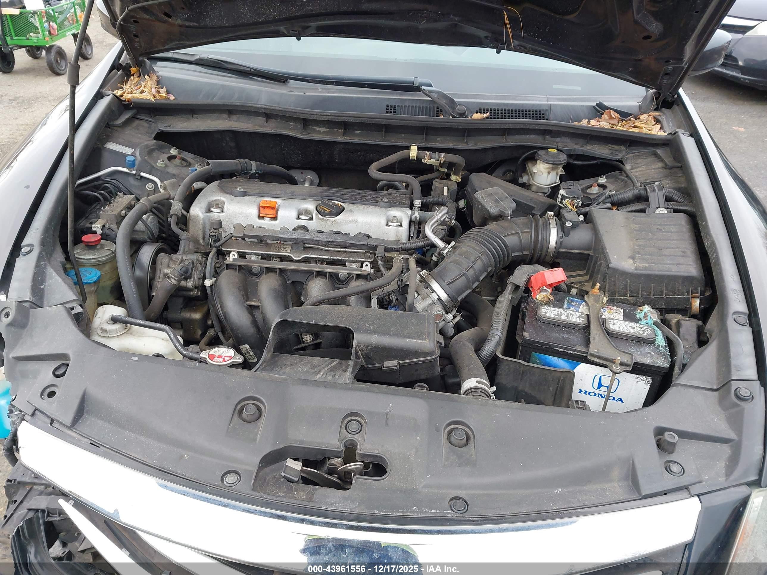 HONDA ACCORD image 10