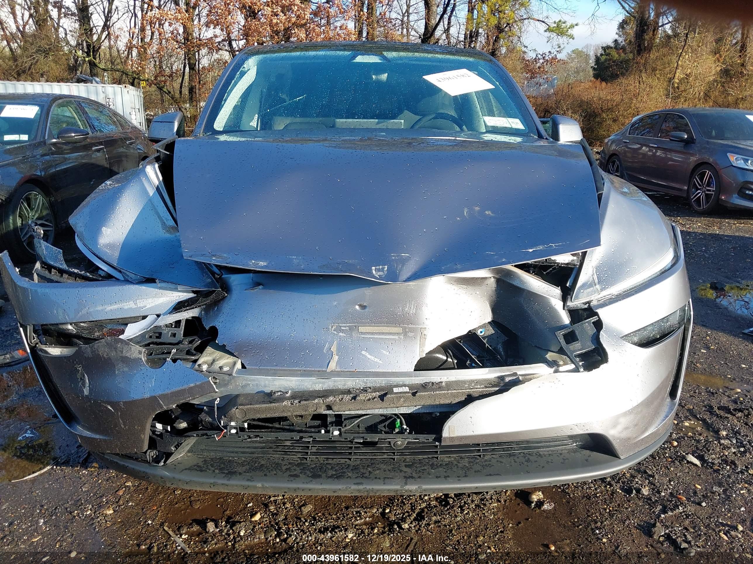 TESLA MODEL image 6