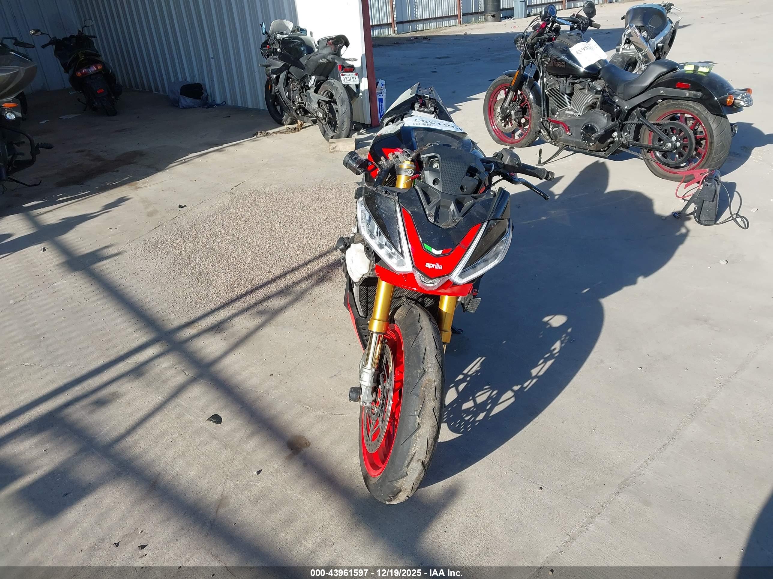 APRILIA TUONO image 5