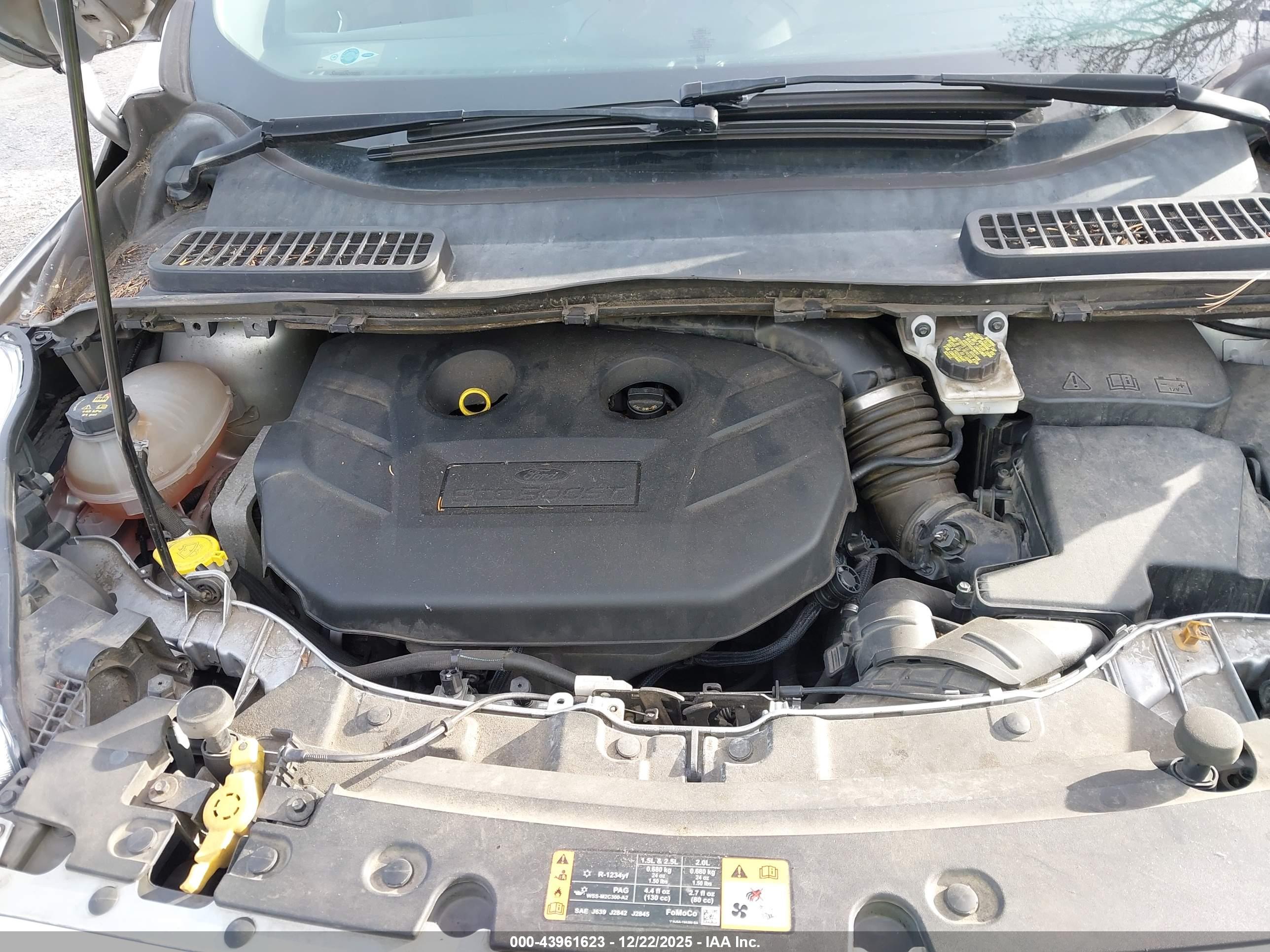 FORD ESCAPE image 10