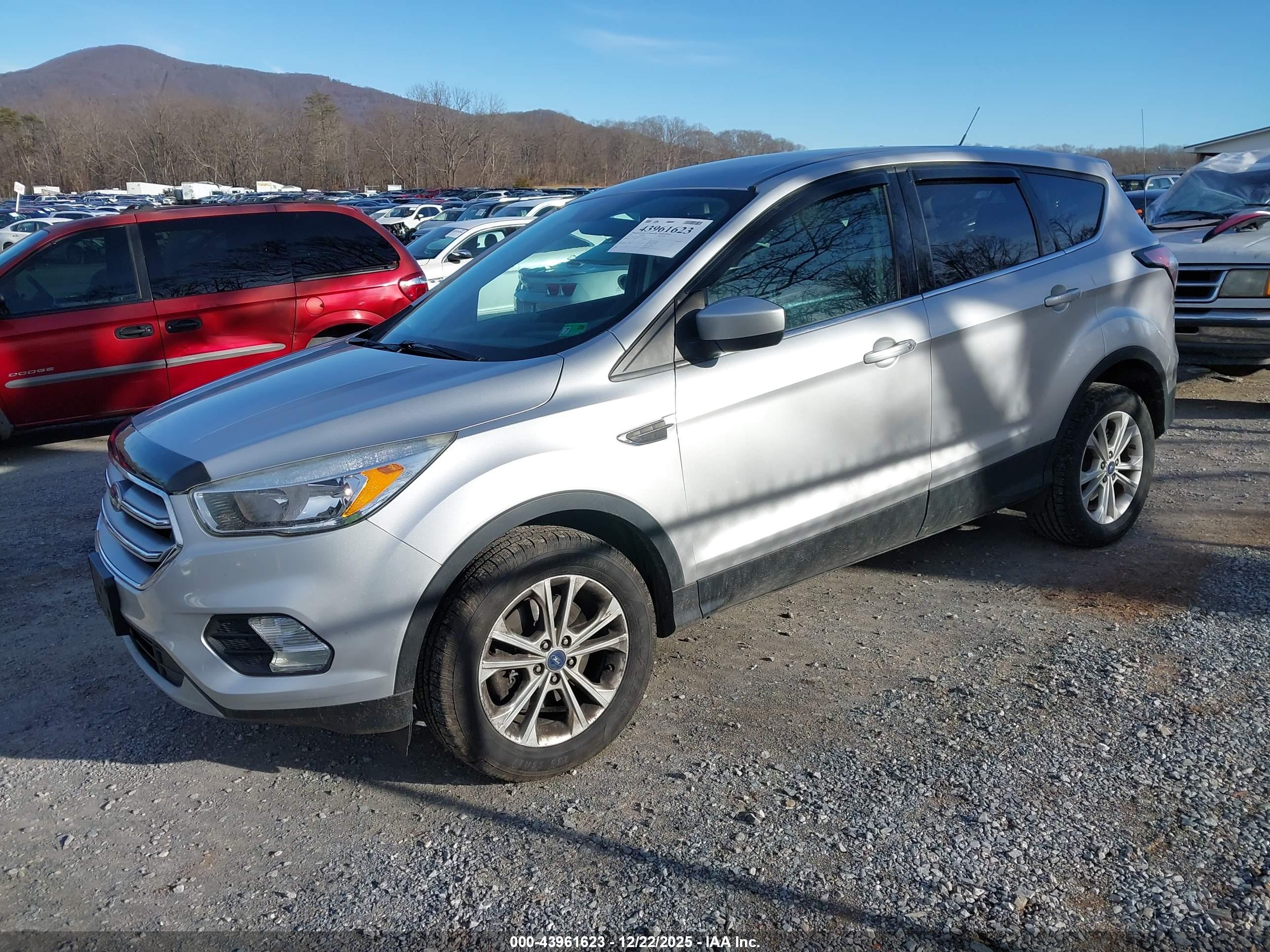 FORD ESCAPE image 2