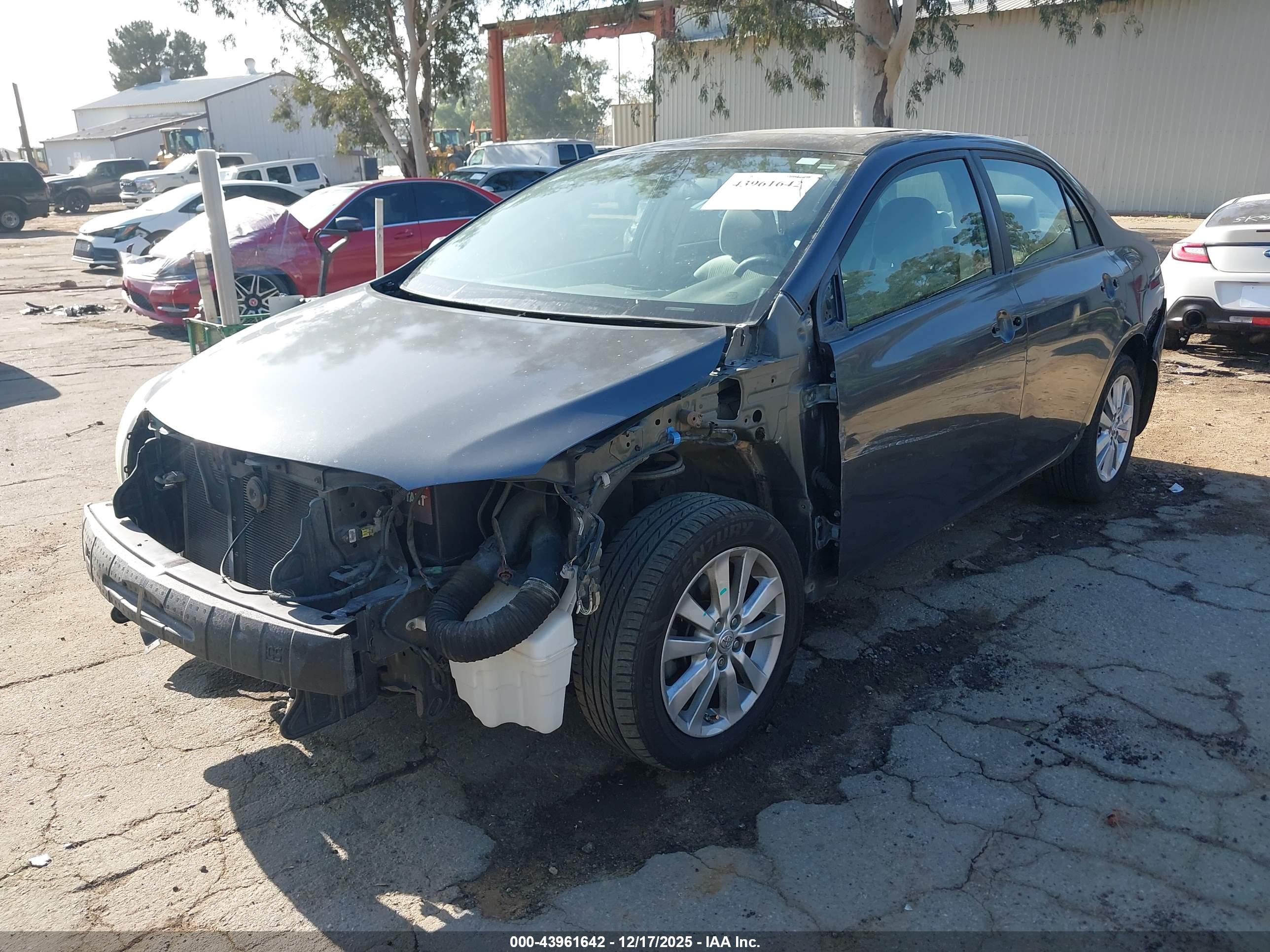 TOYOTA COROLLA image 2