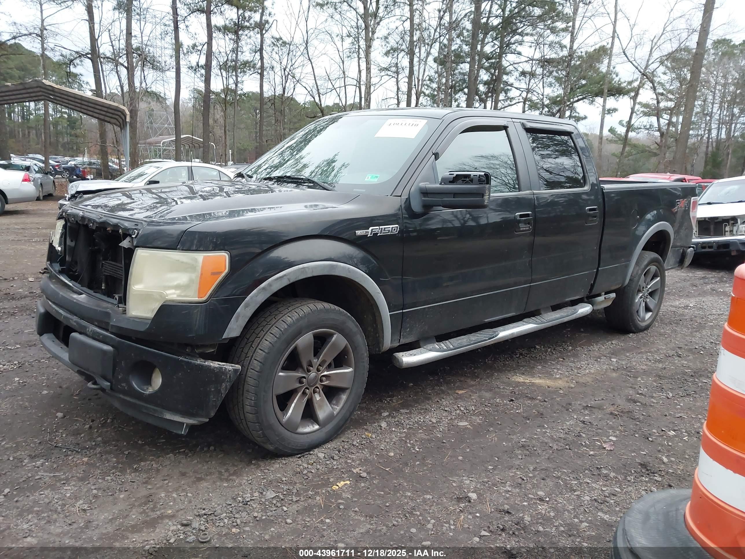 FORD F-150 image 2