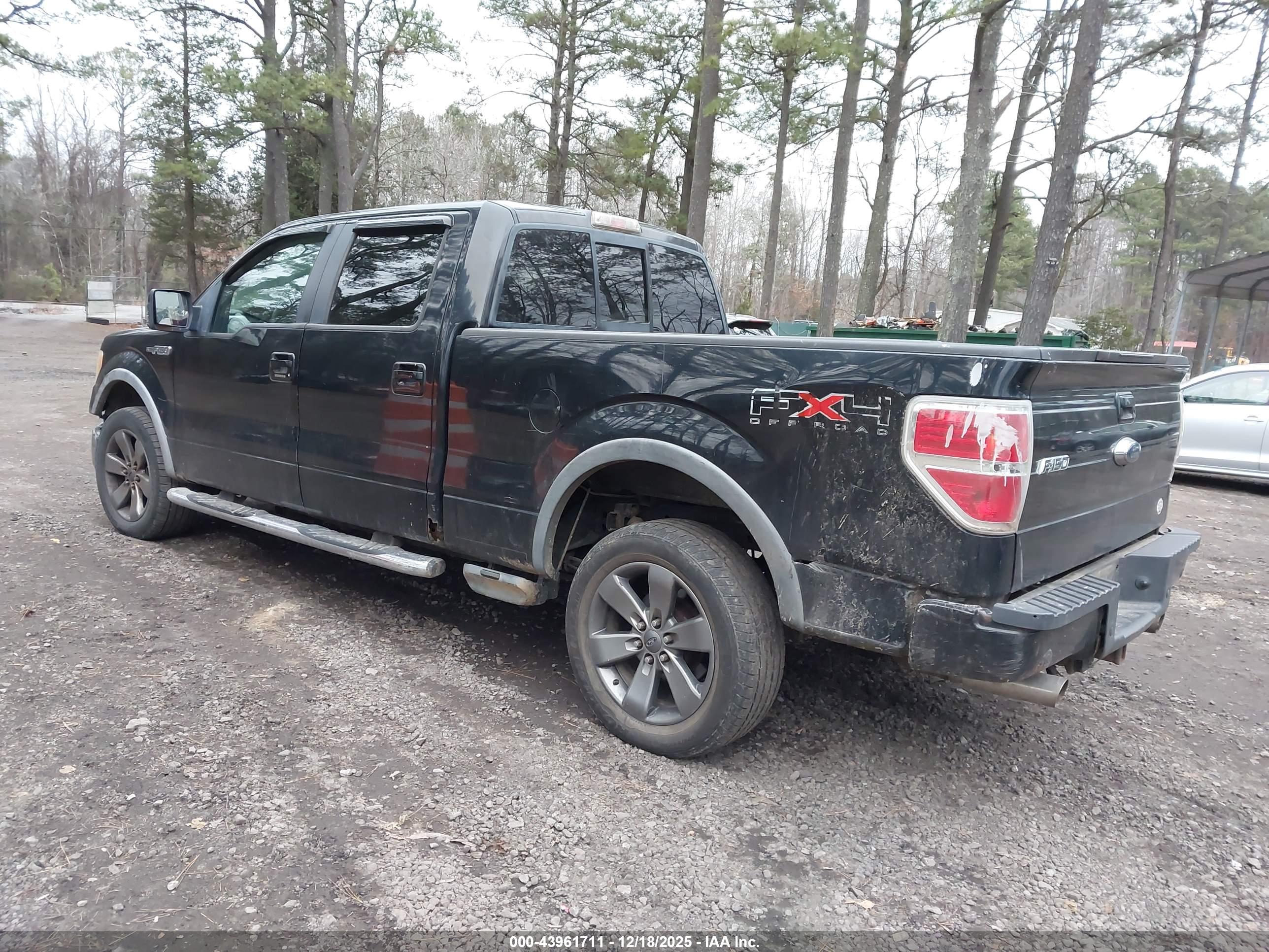 FORD F-150 image 3