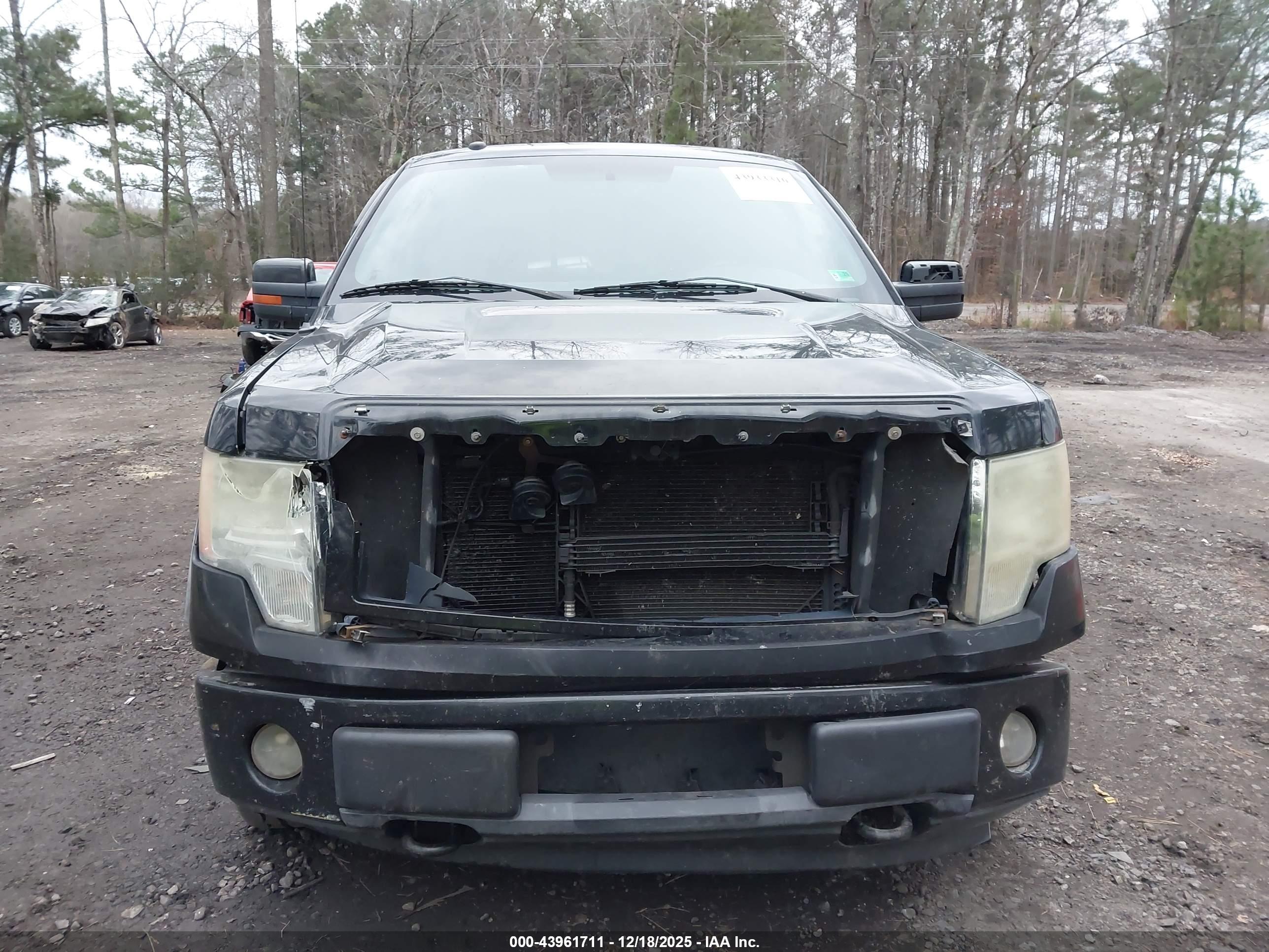 FORD F-150 image 6
