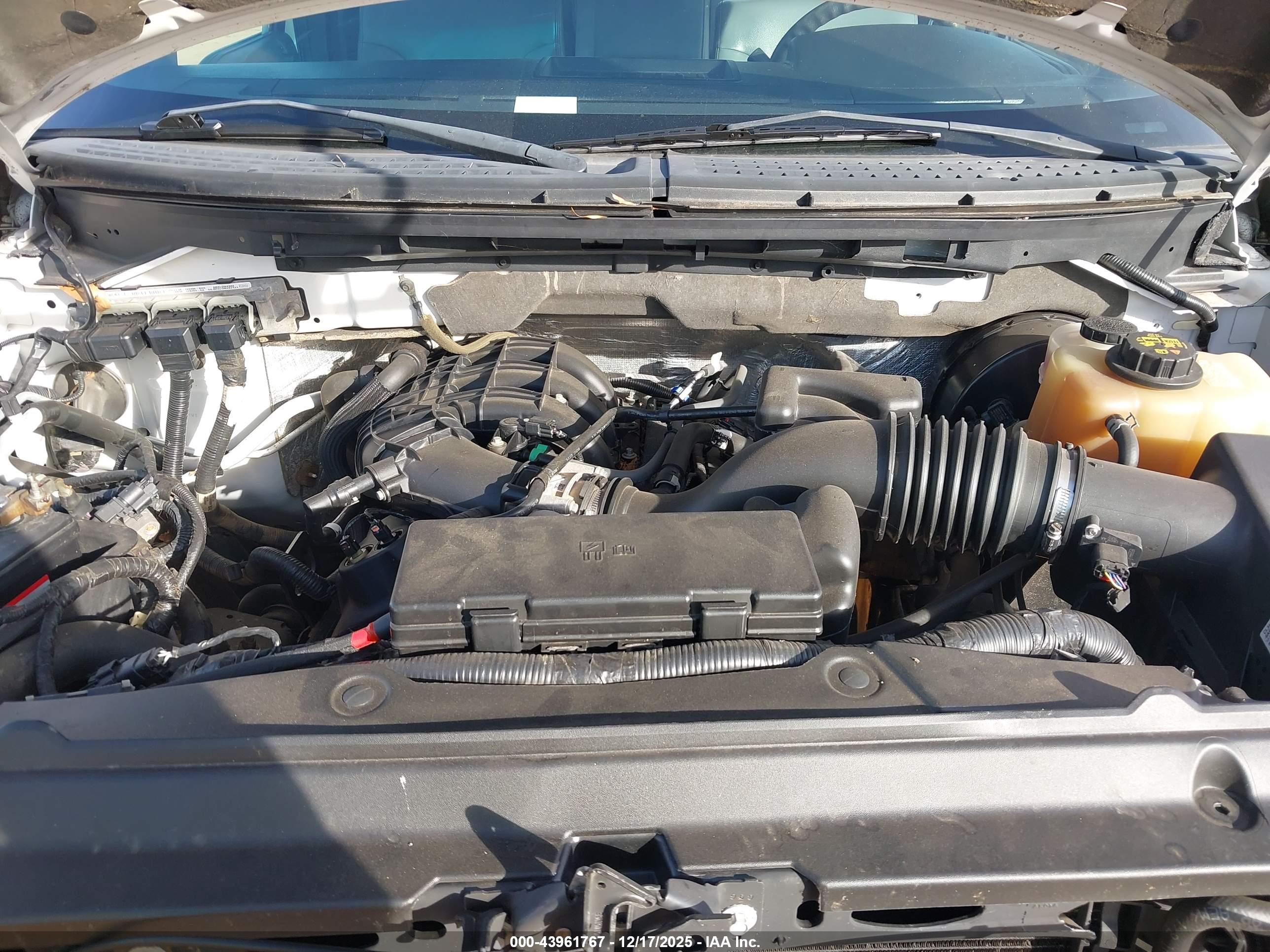 FORD F-150 image 10