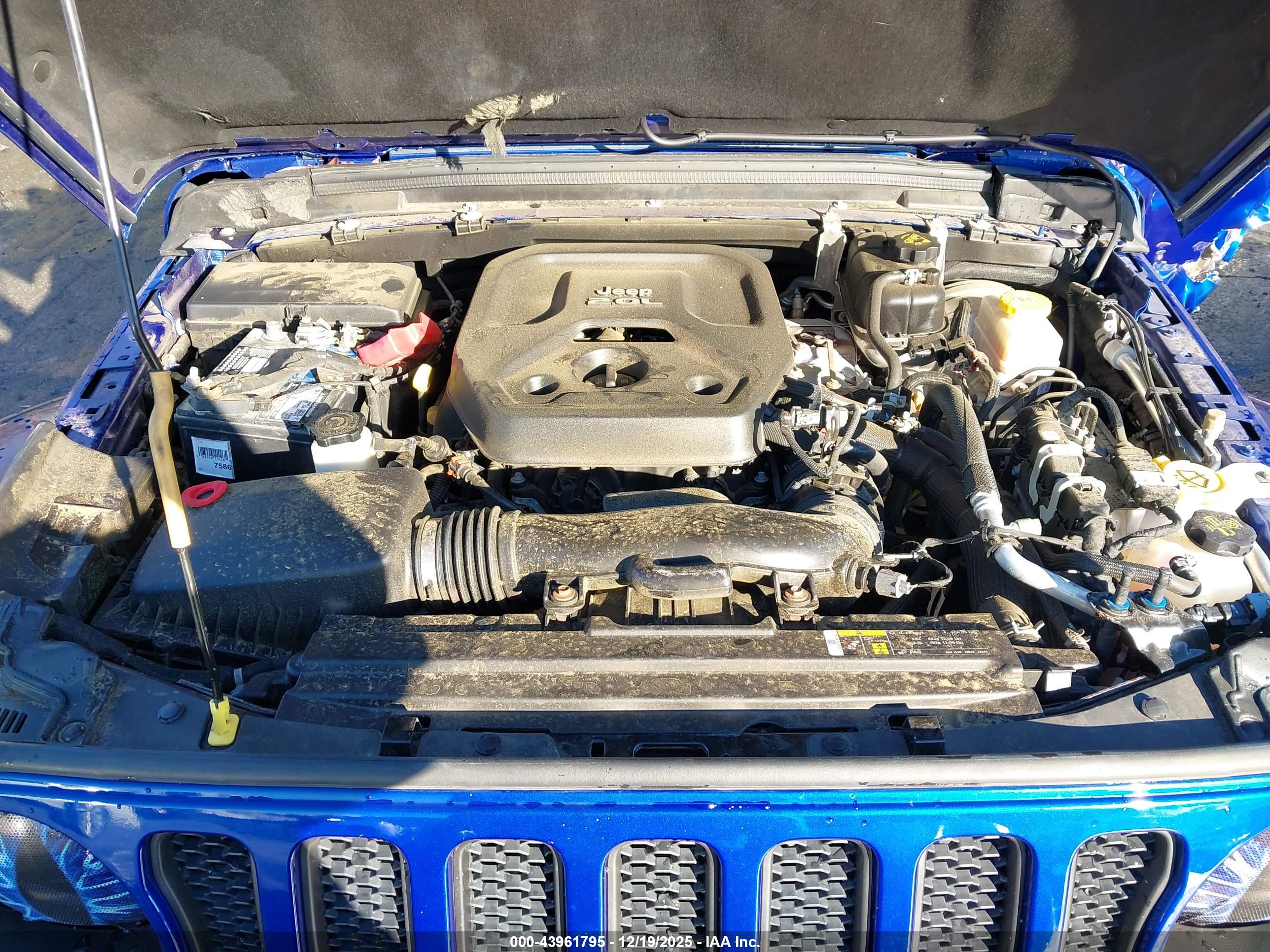 JEEP WRANGLER image 10
