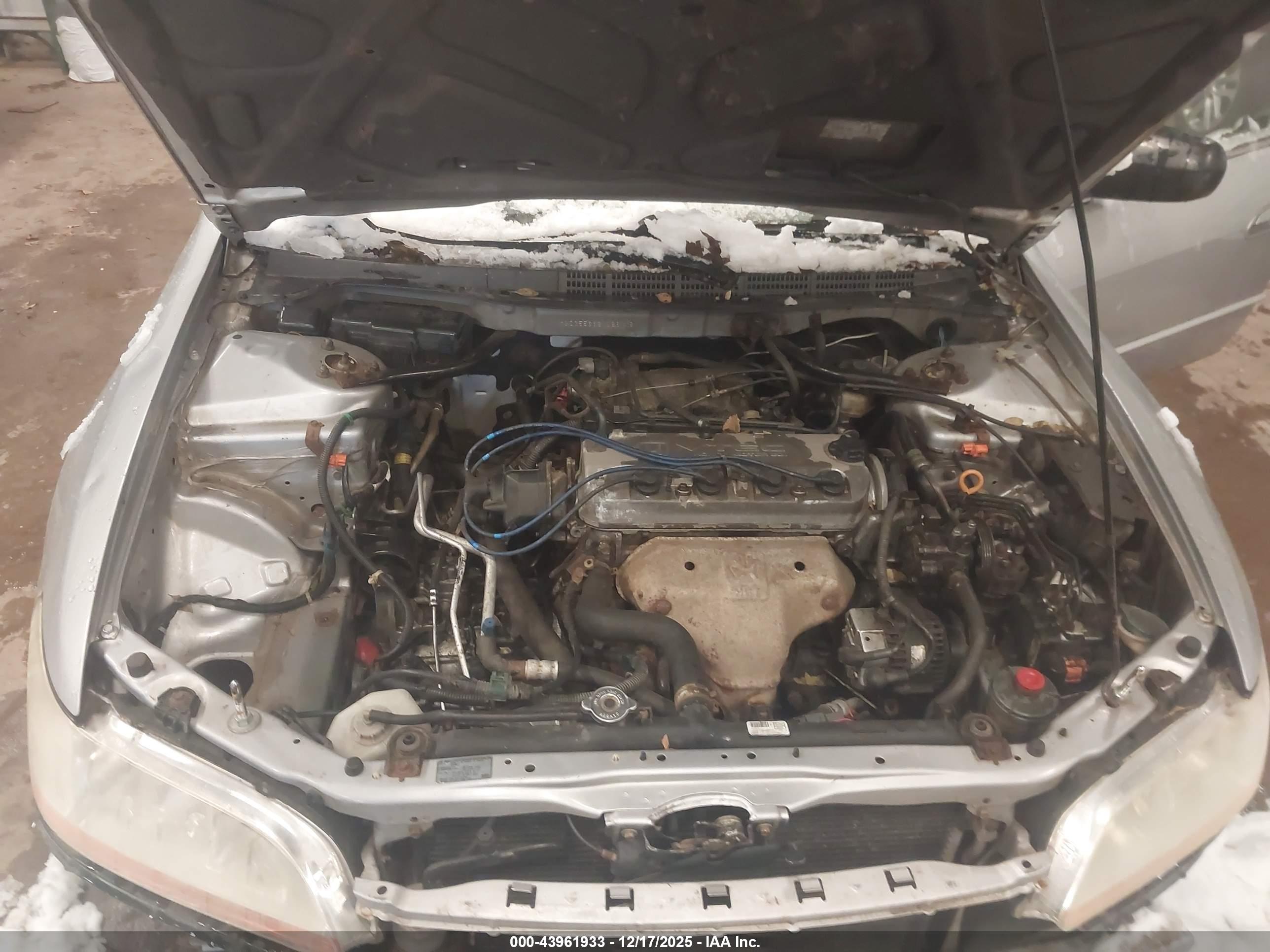 HONDA ACCORD image 10