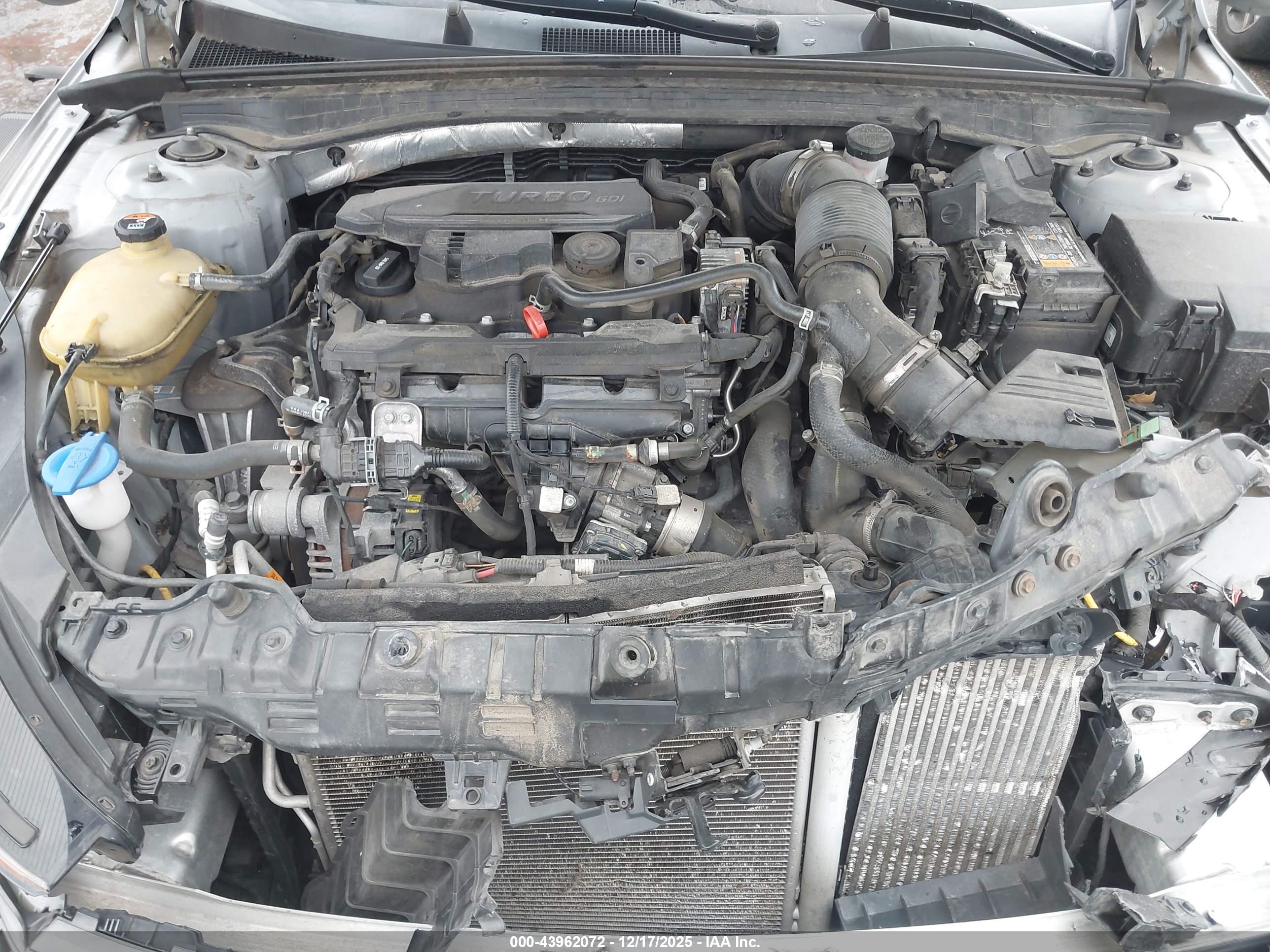 KIA K5 image 10