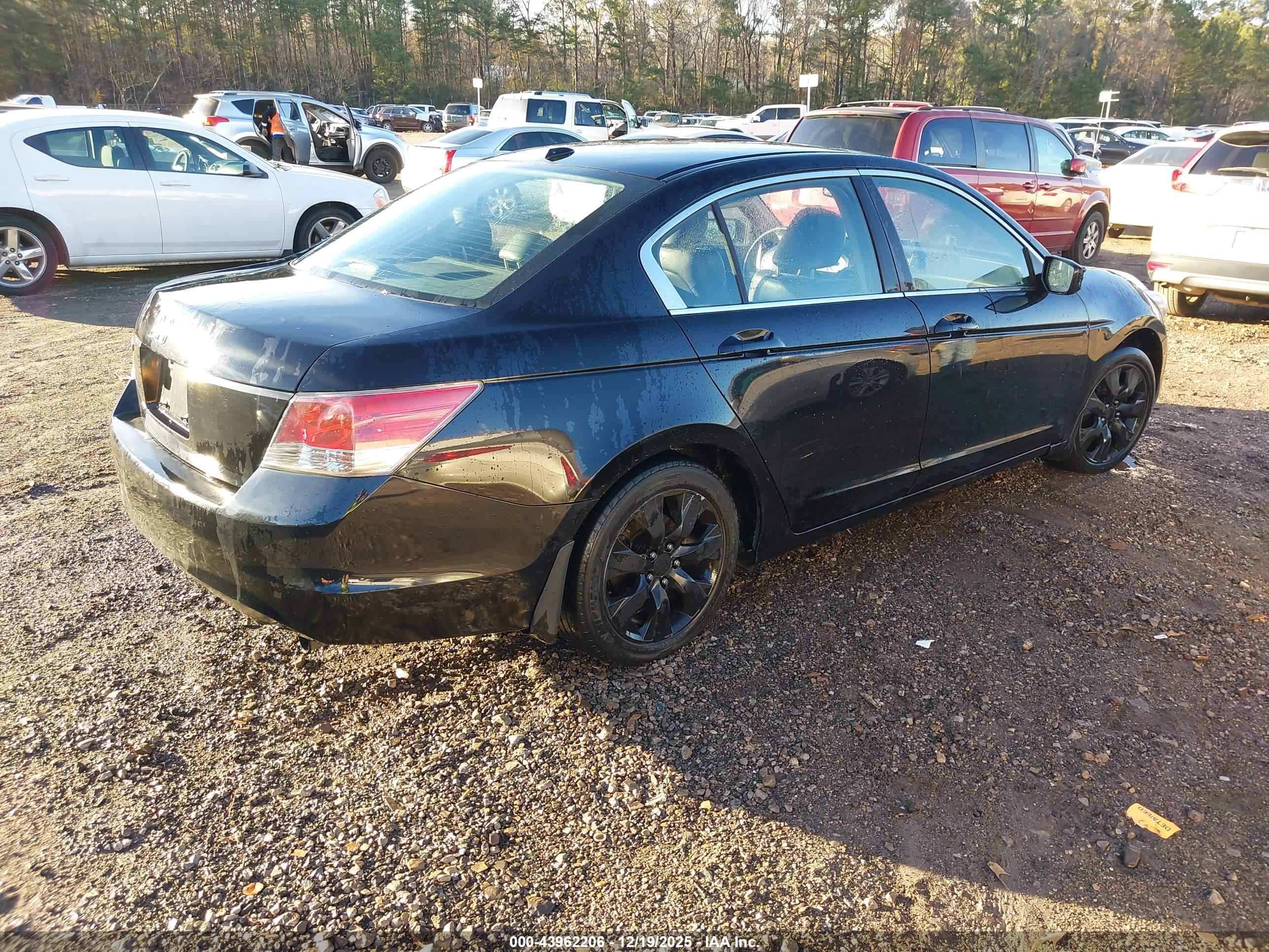 HONDA ACCORD image 4