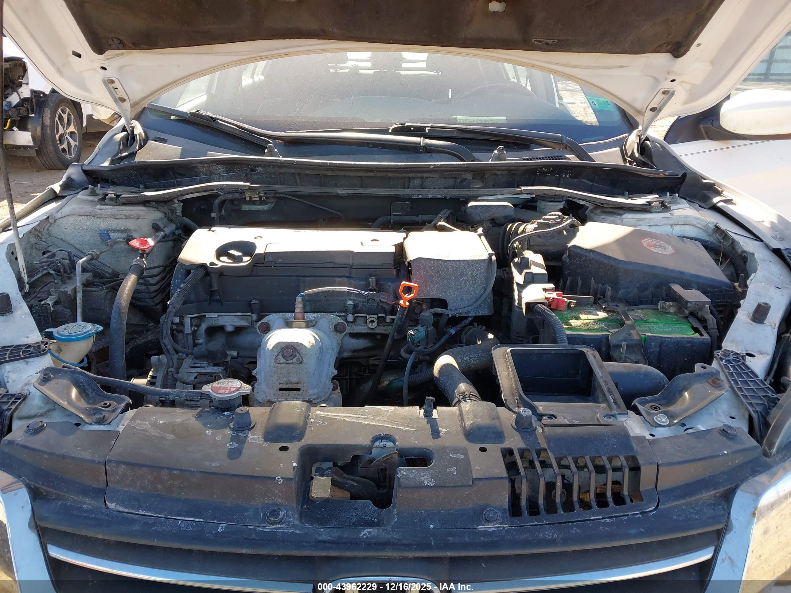 HONDA ACCORD image 10