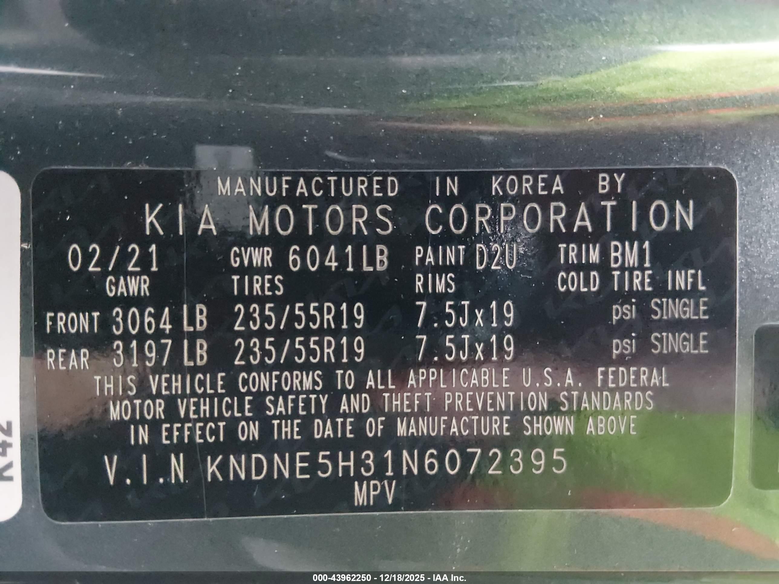 KIA CARNIVAL image 9