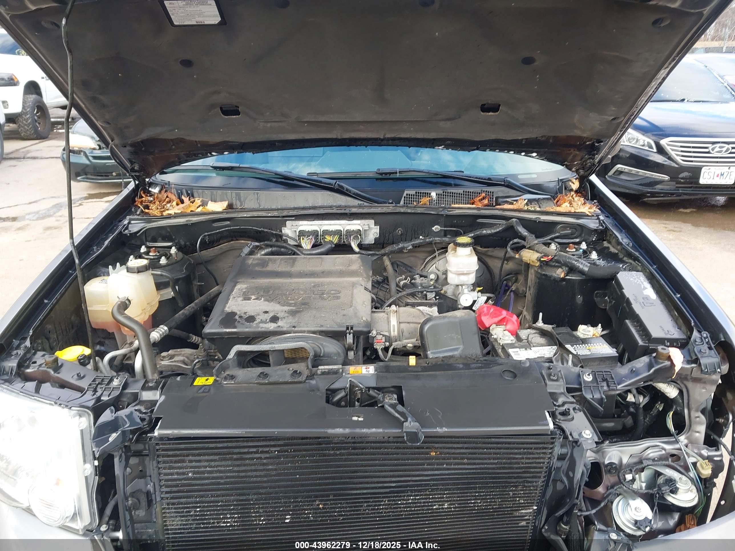 FORD ESCAPE image 10
