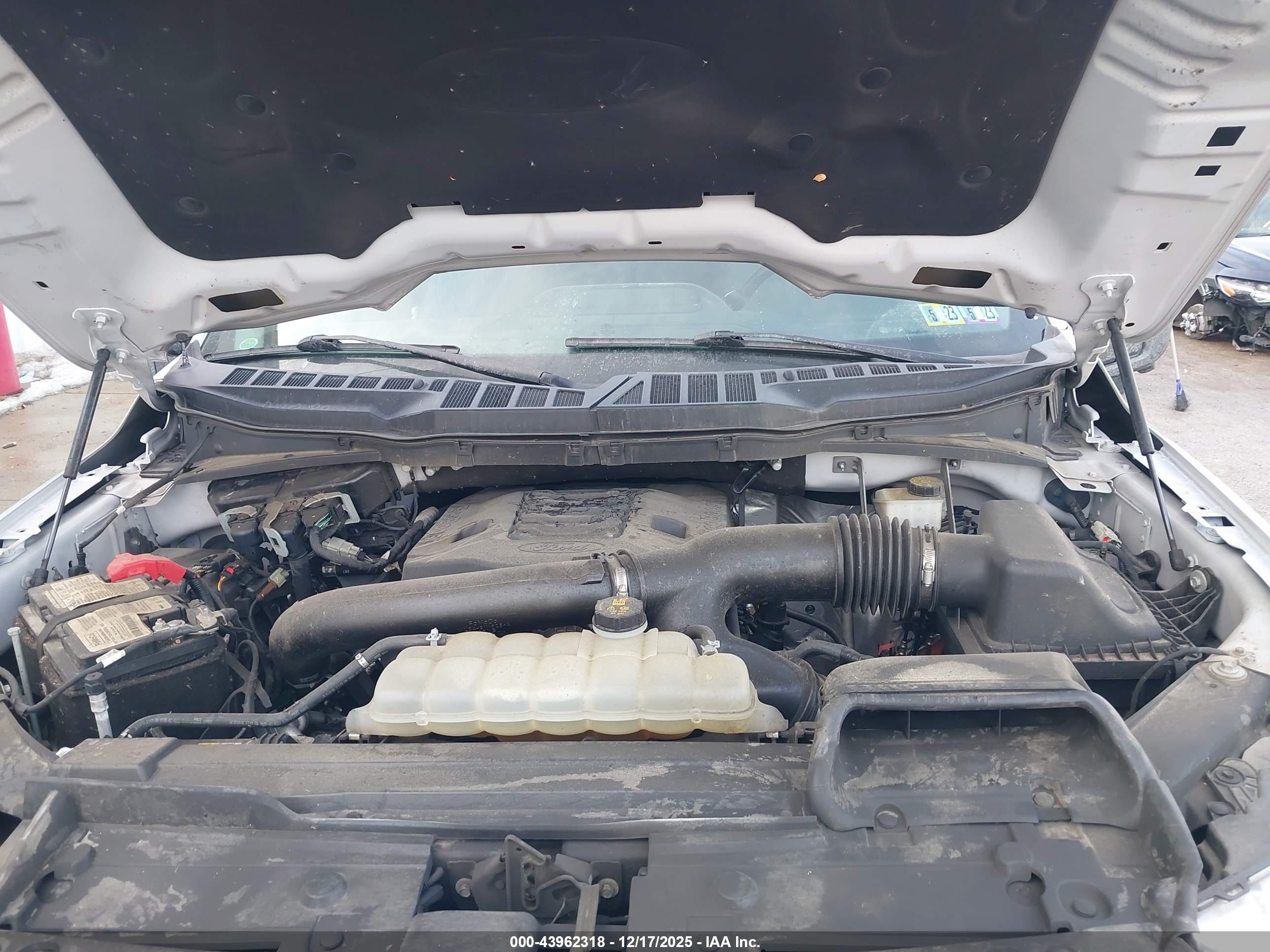 FORD F-150 image 10