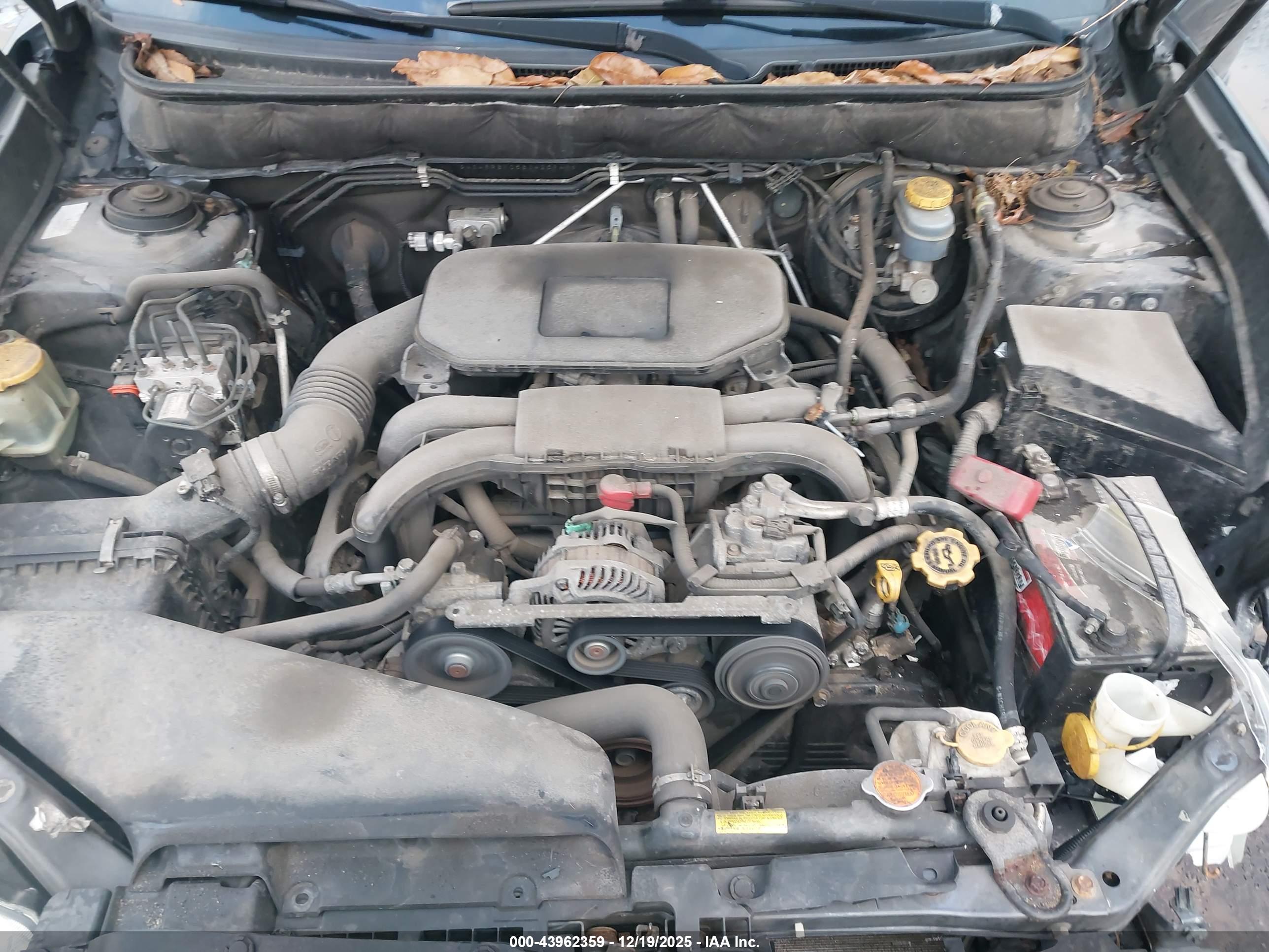 SUBARU OUTBACK image 10