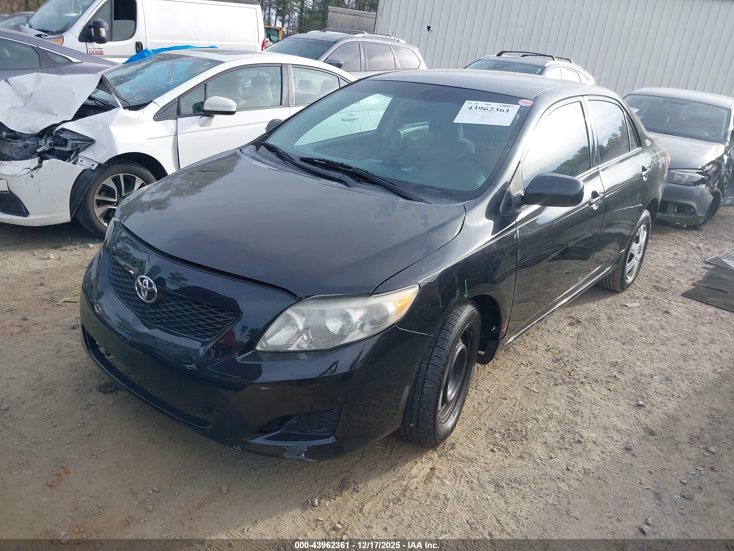 TOYOTA COROLLA image 2