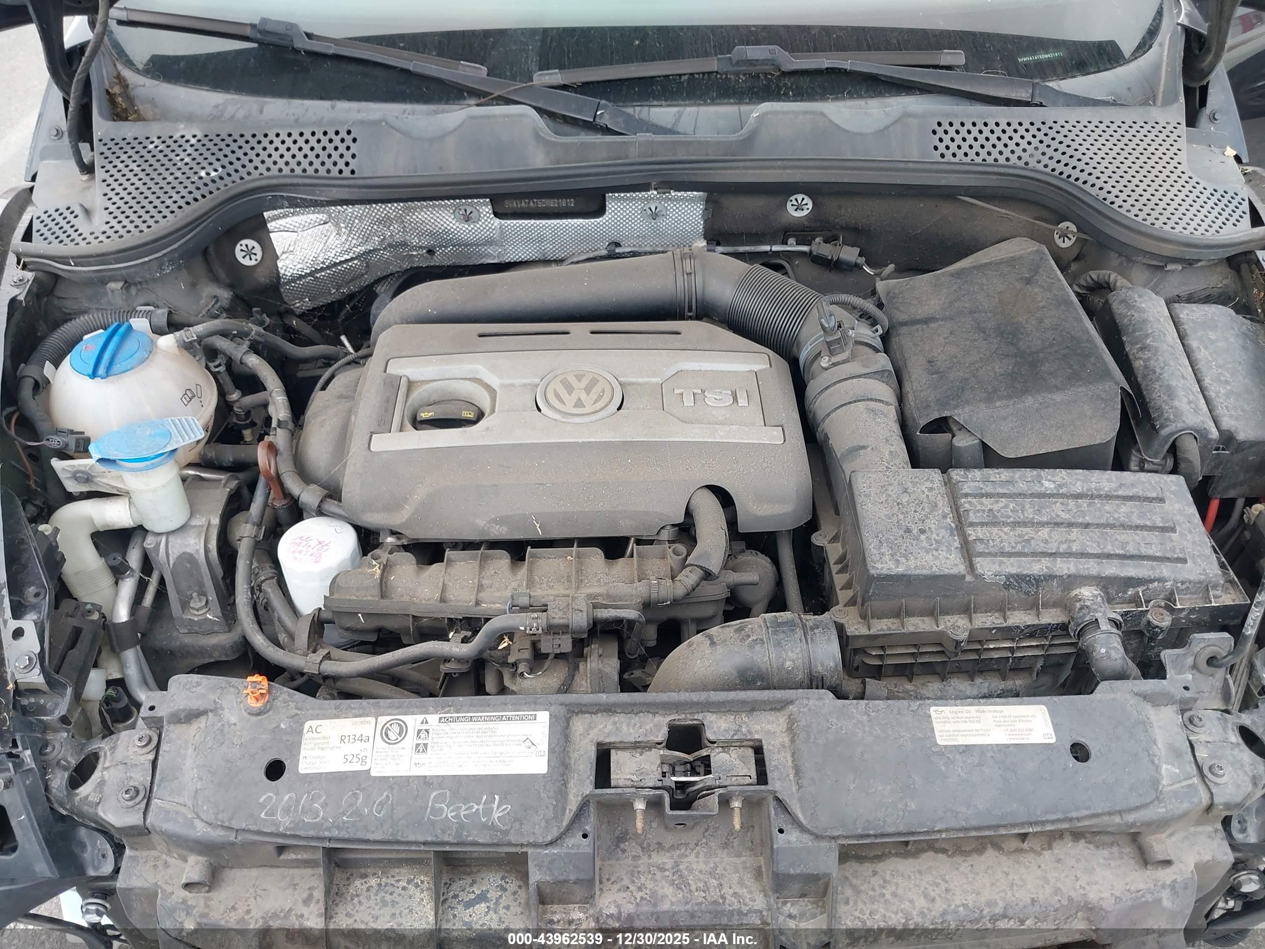 VOLKSWAGEN BEETLE image 10