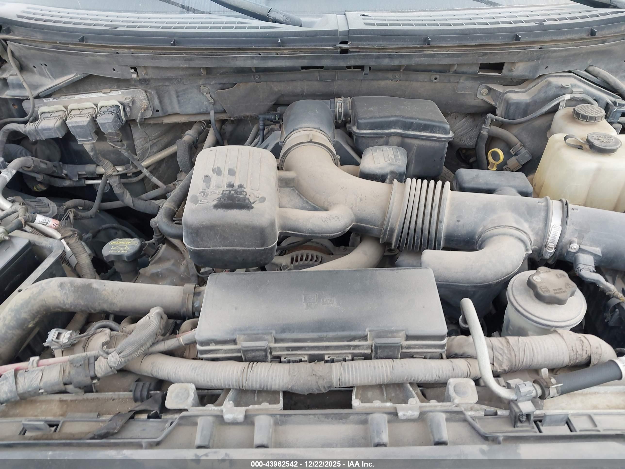 FORD F-150 image 10