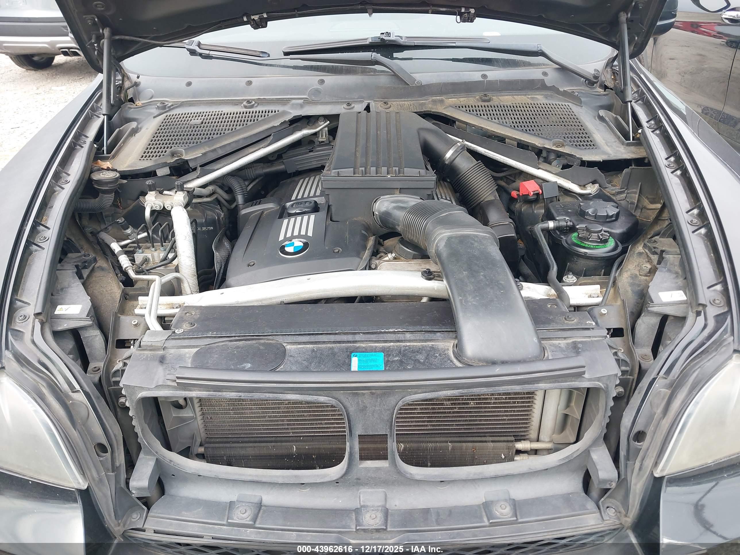 BMW X5 image 10