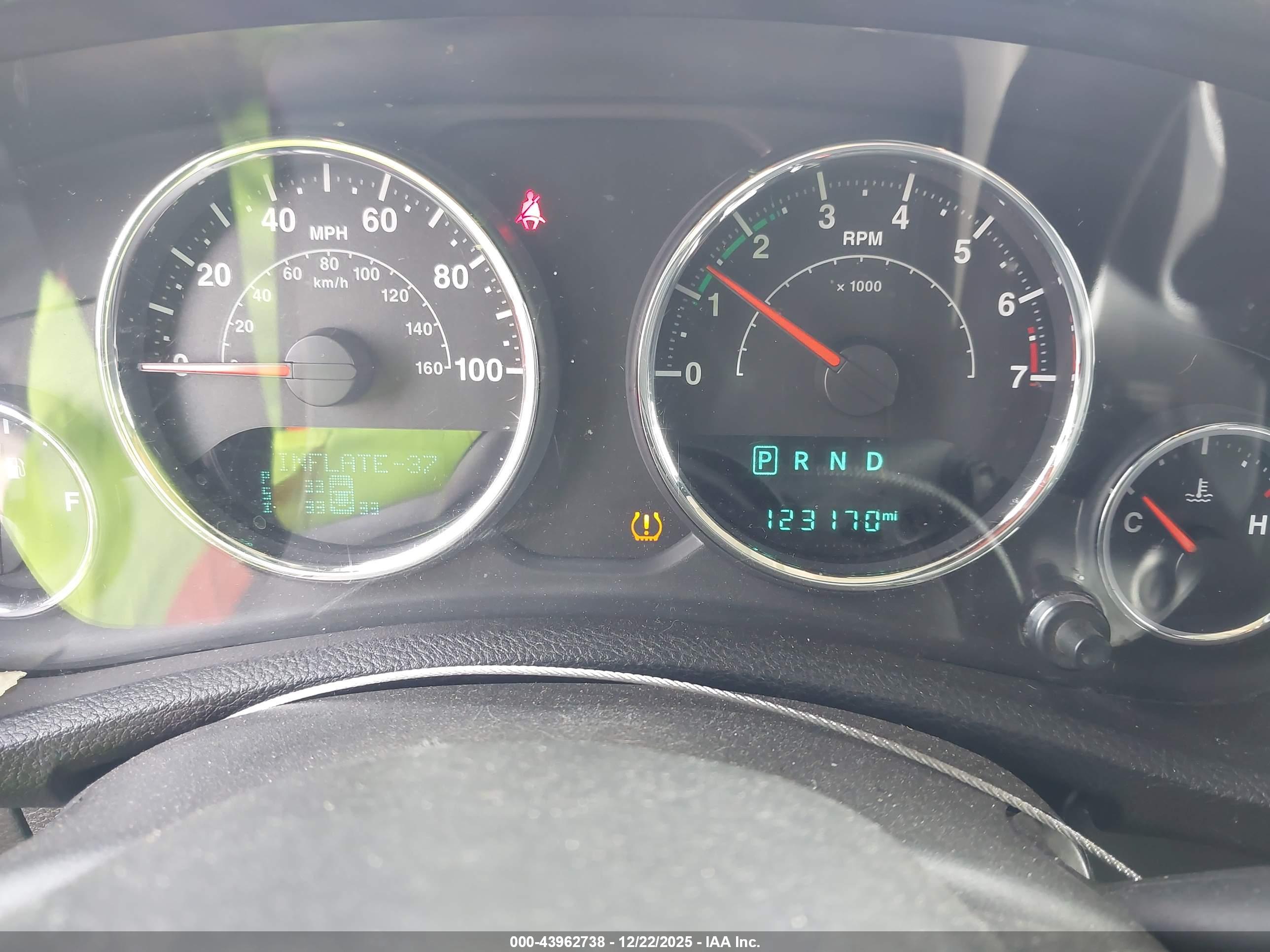 JEEP WRANGLER image 7