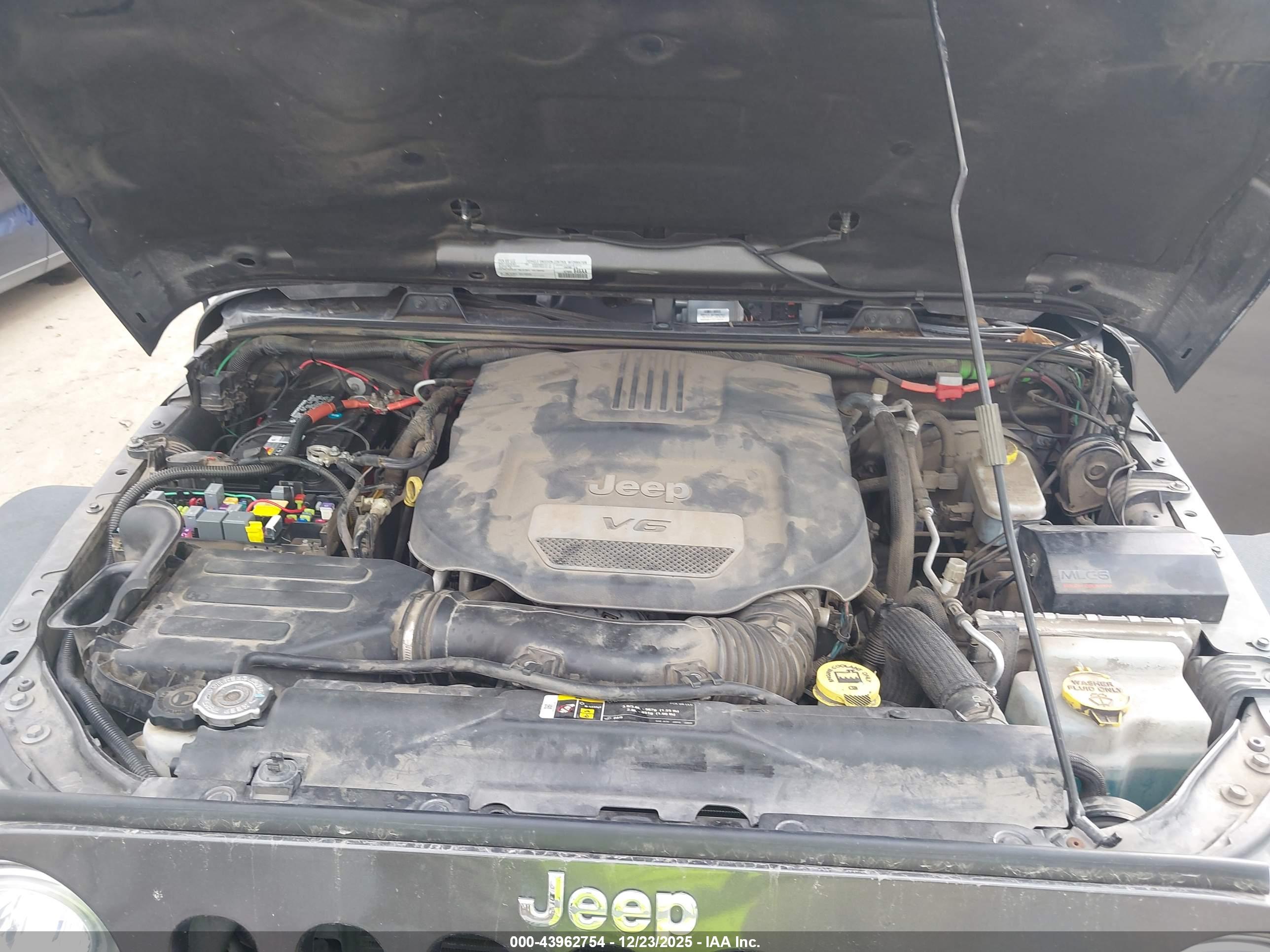 JEEP WRANGLER image 10