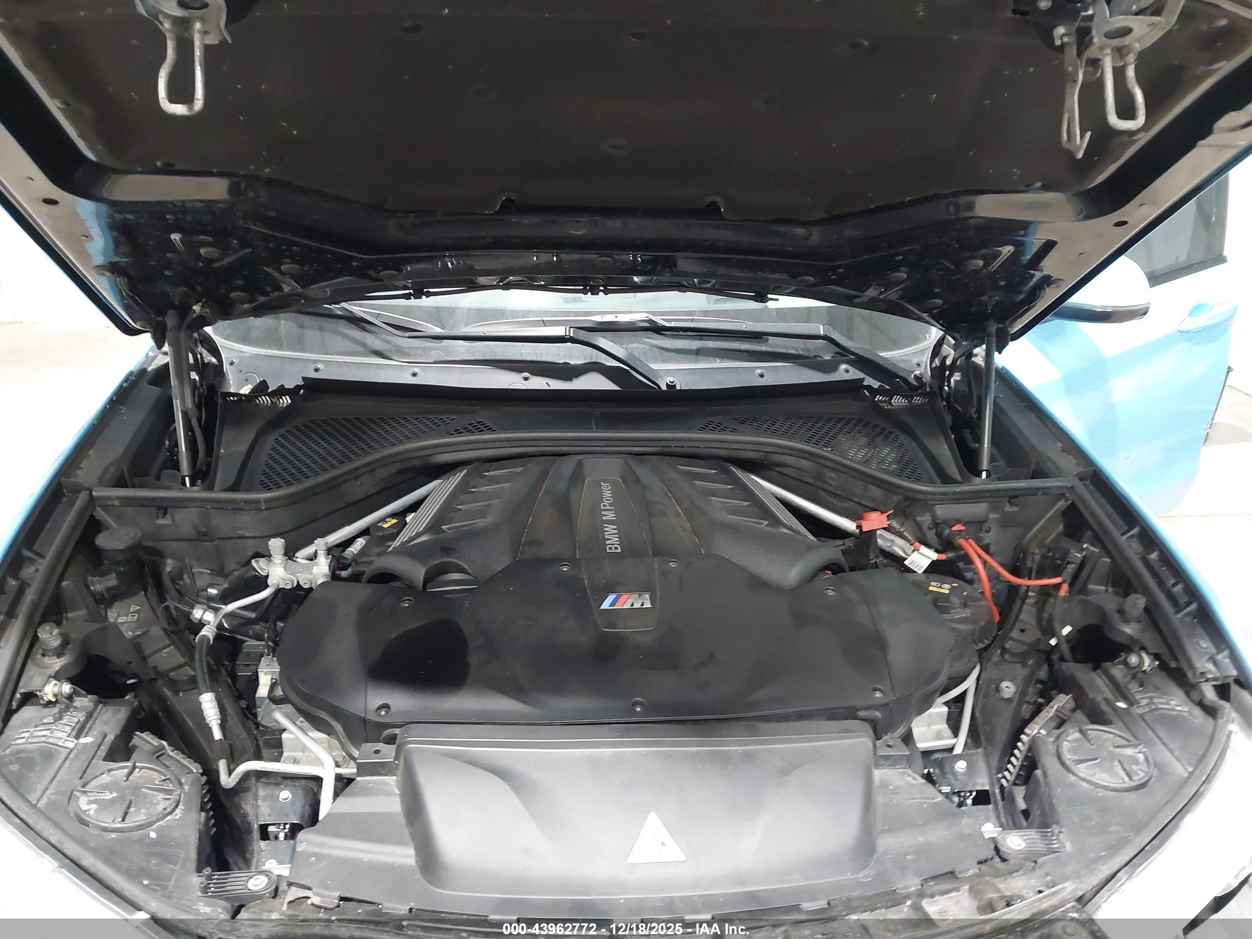 BMW X5 image 10
