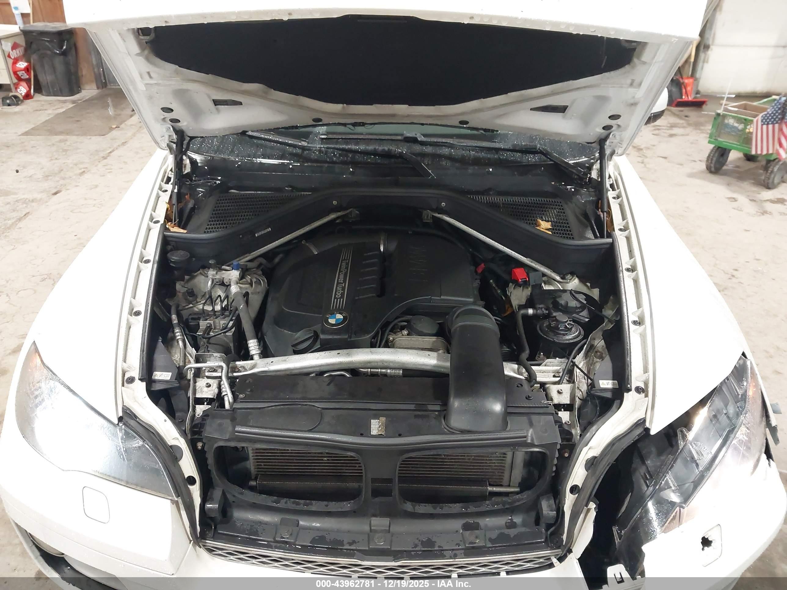 BMW X6 image 10