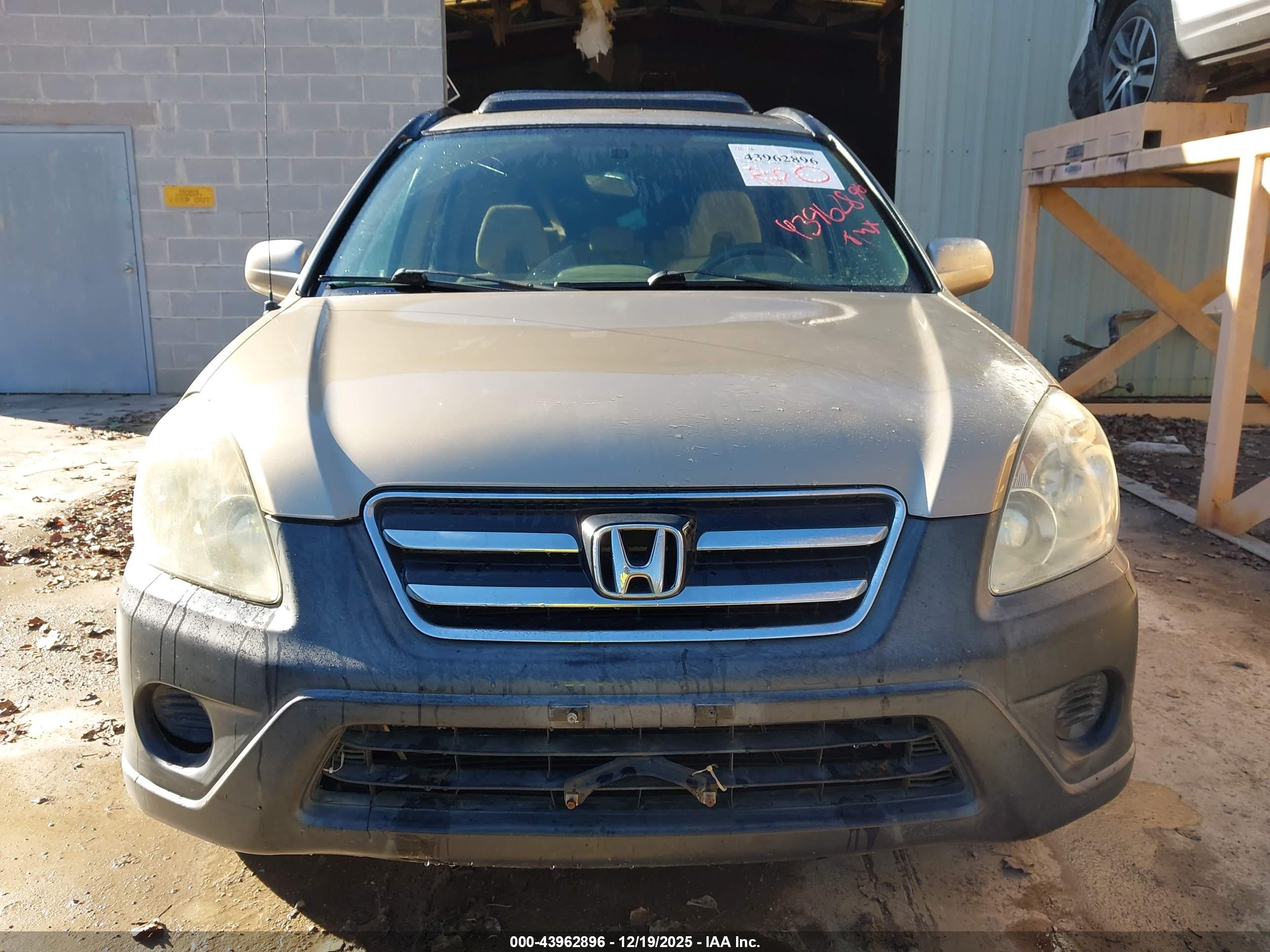 HONDA CR-V image 6