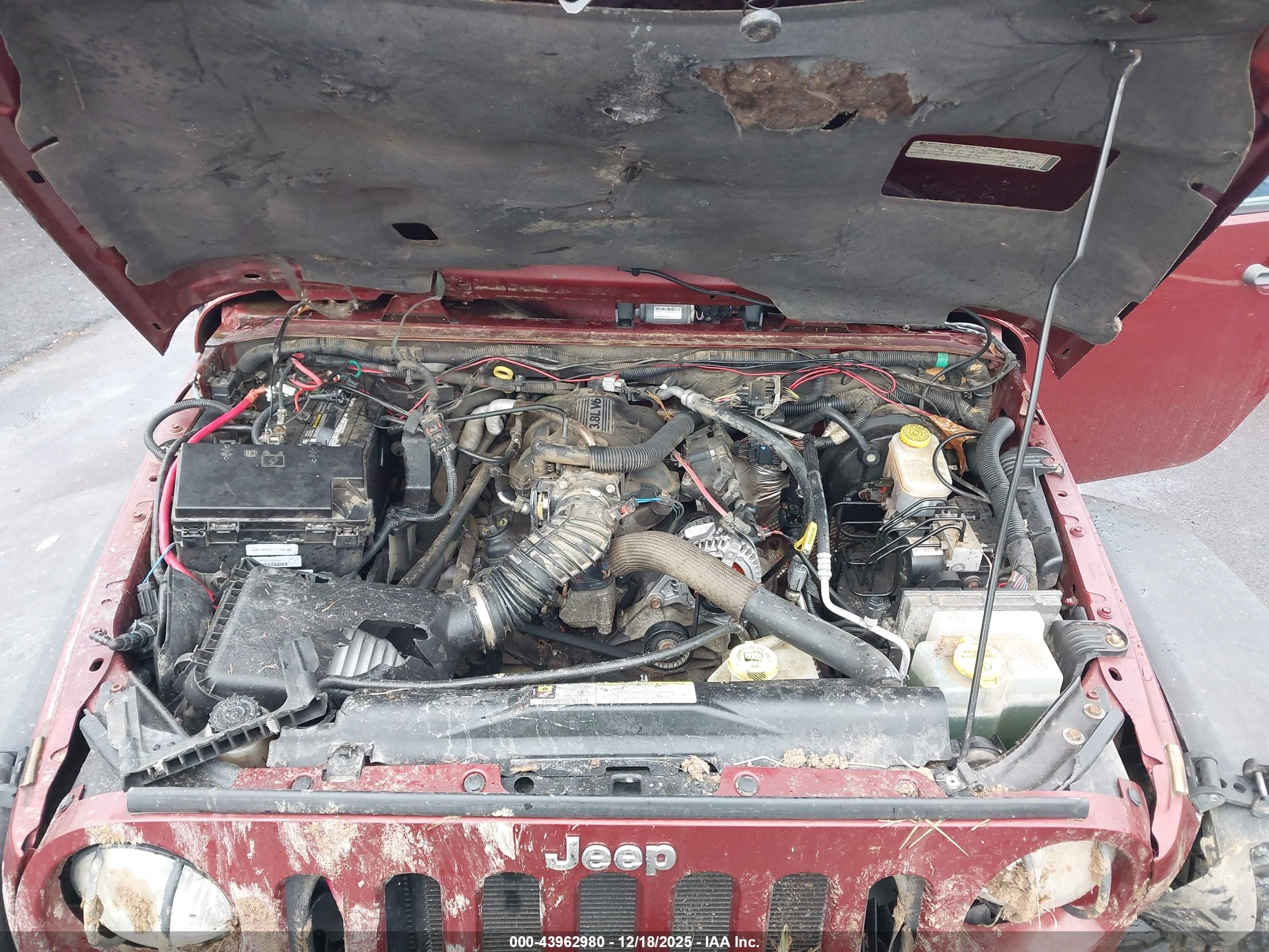JEEP WRANGLER image 10