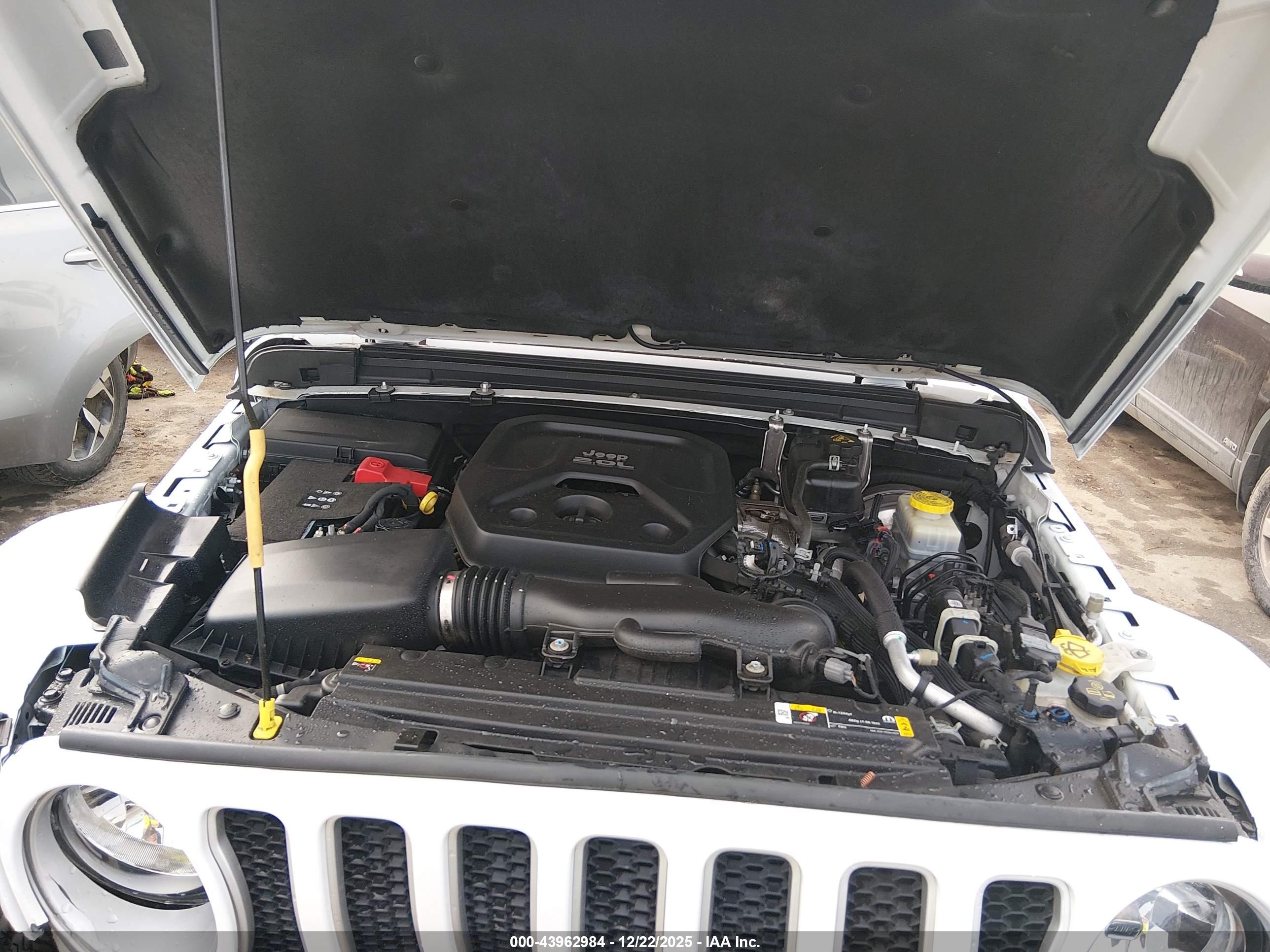 JEEP WRANGLER image 10