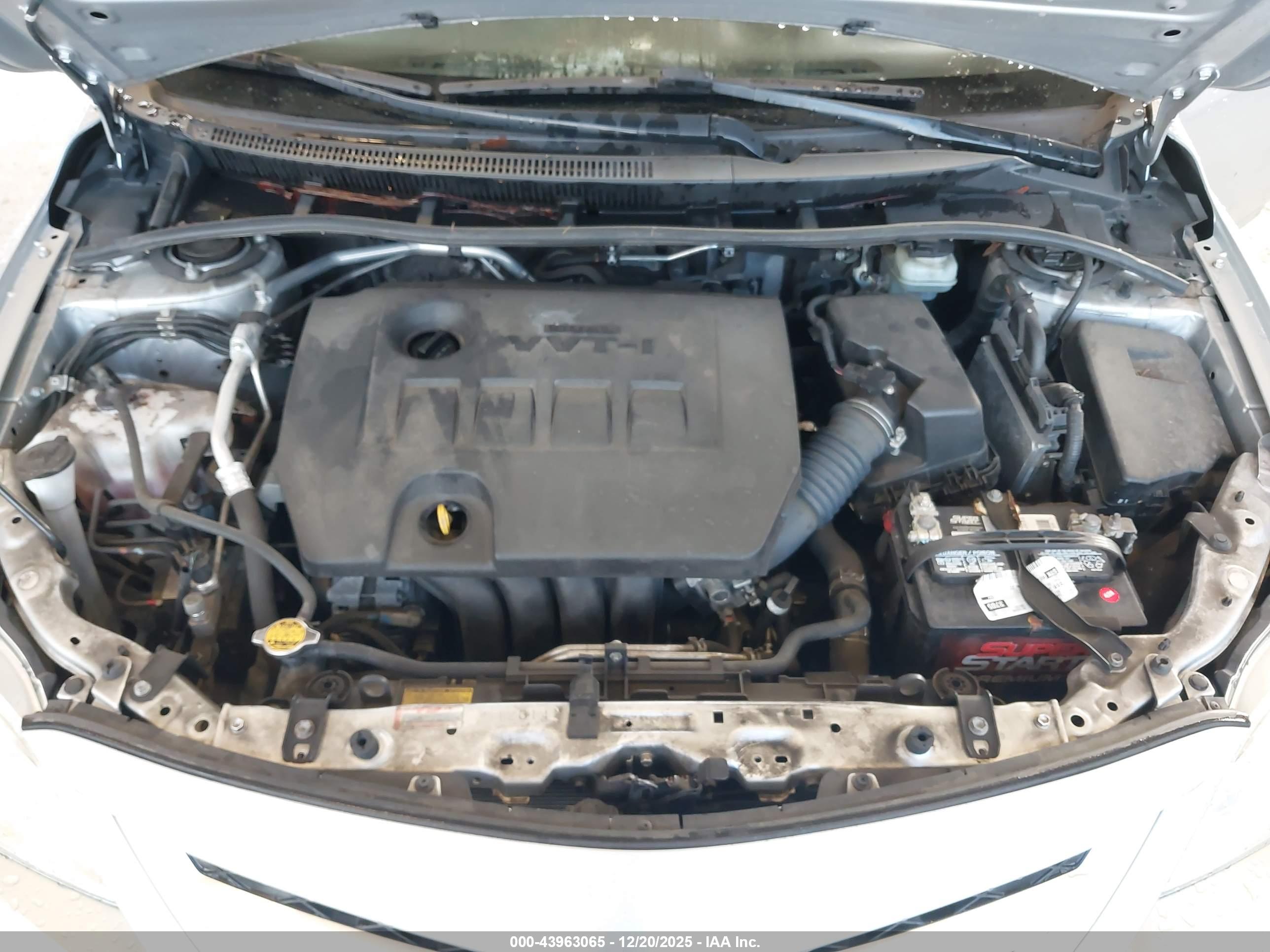 TOYOTA COROLLA image 10