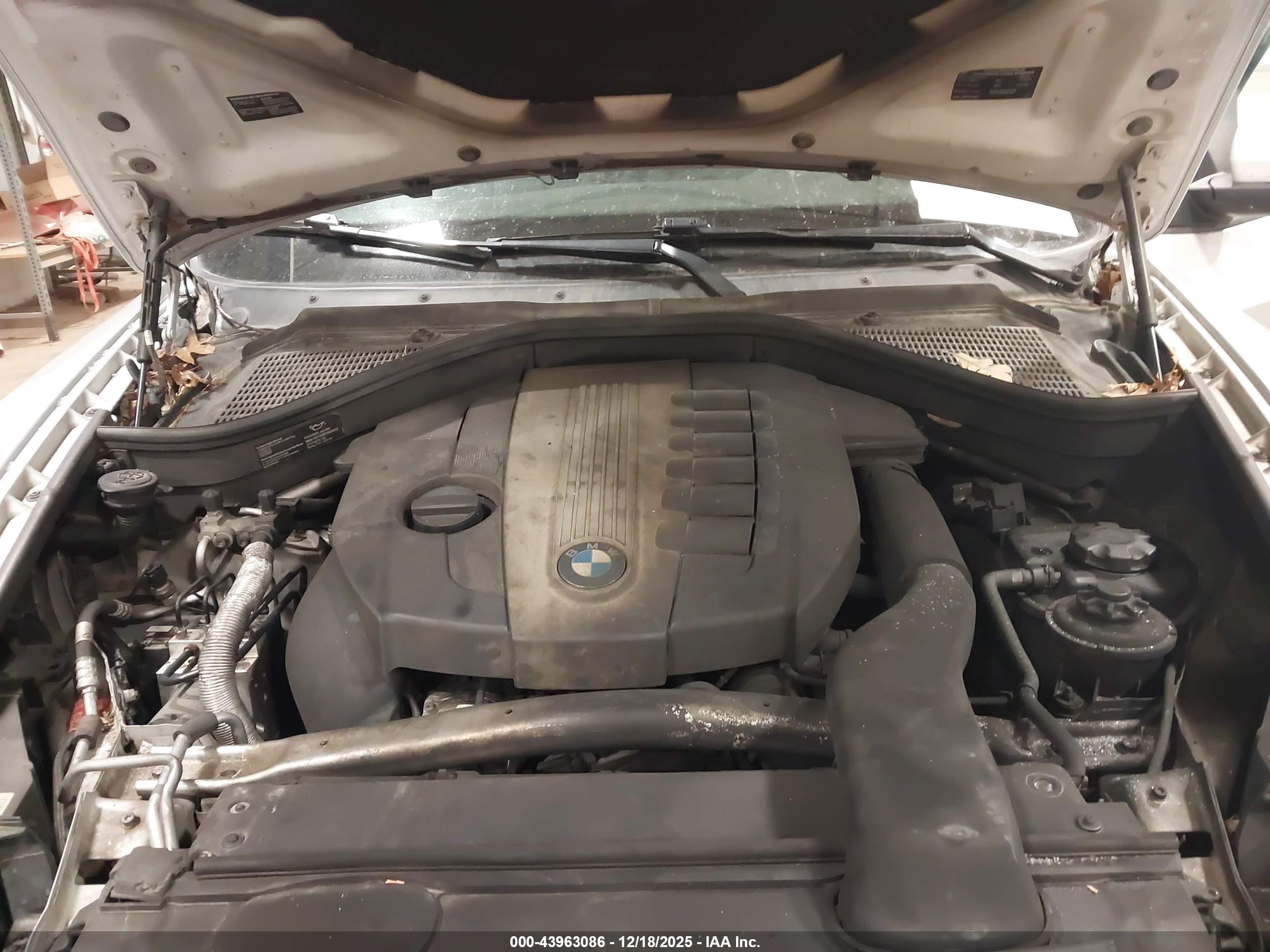 BMW X5 image 10