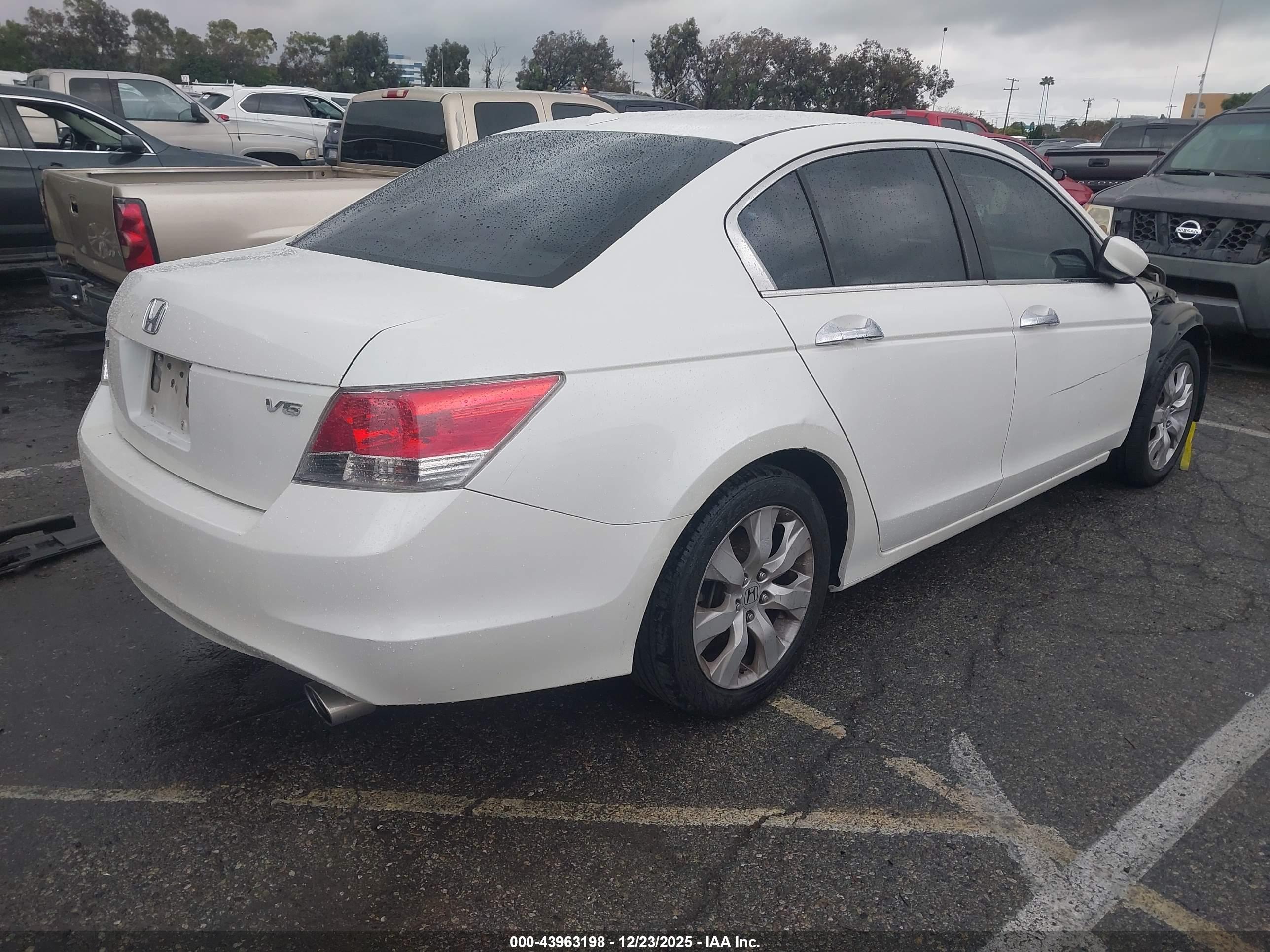 HONDA ACCORD image 4
